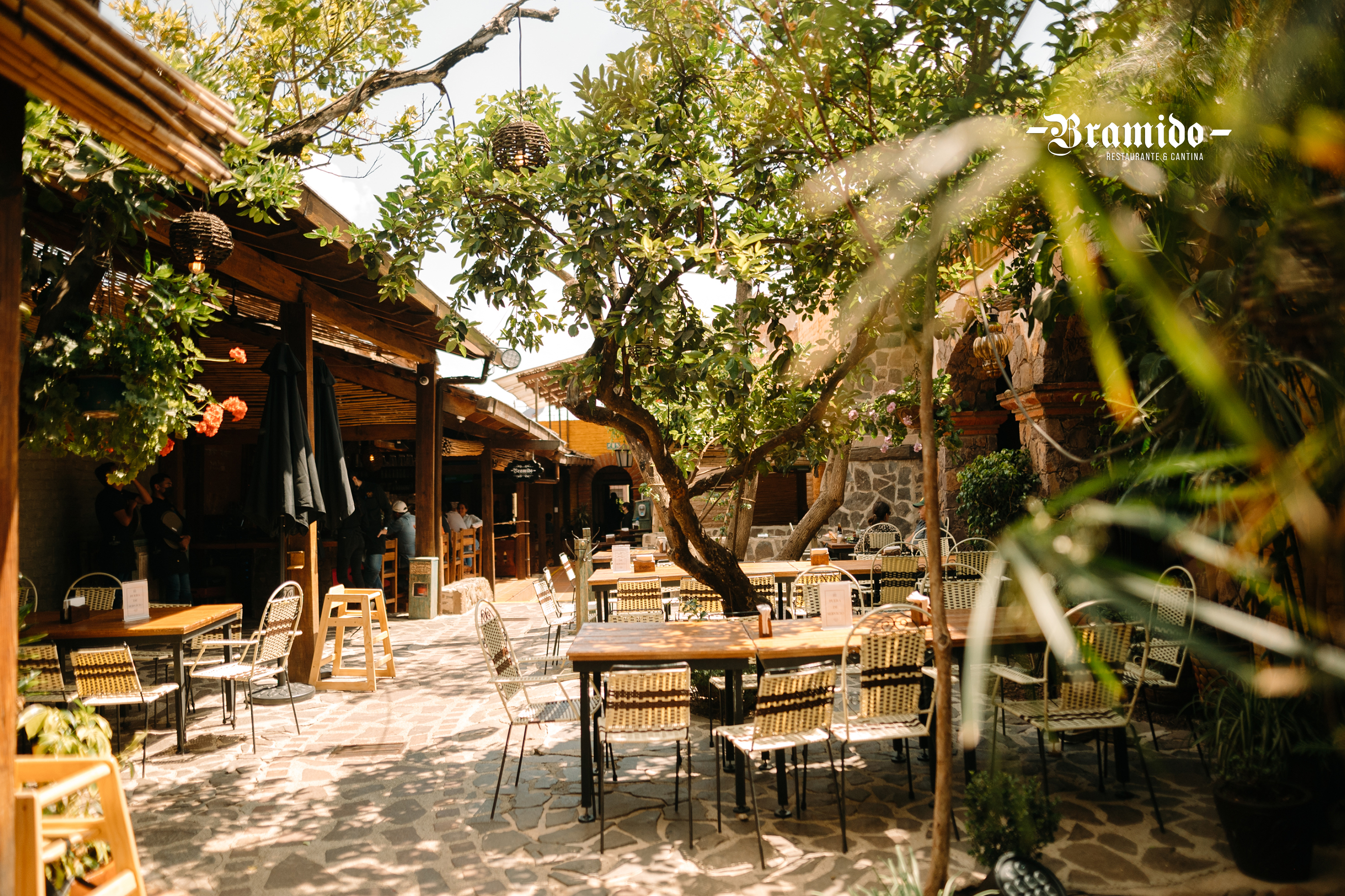 BRAMIDO San José image 3