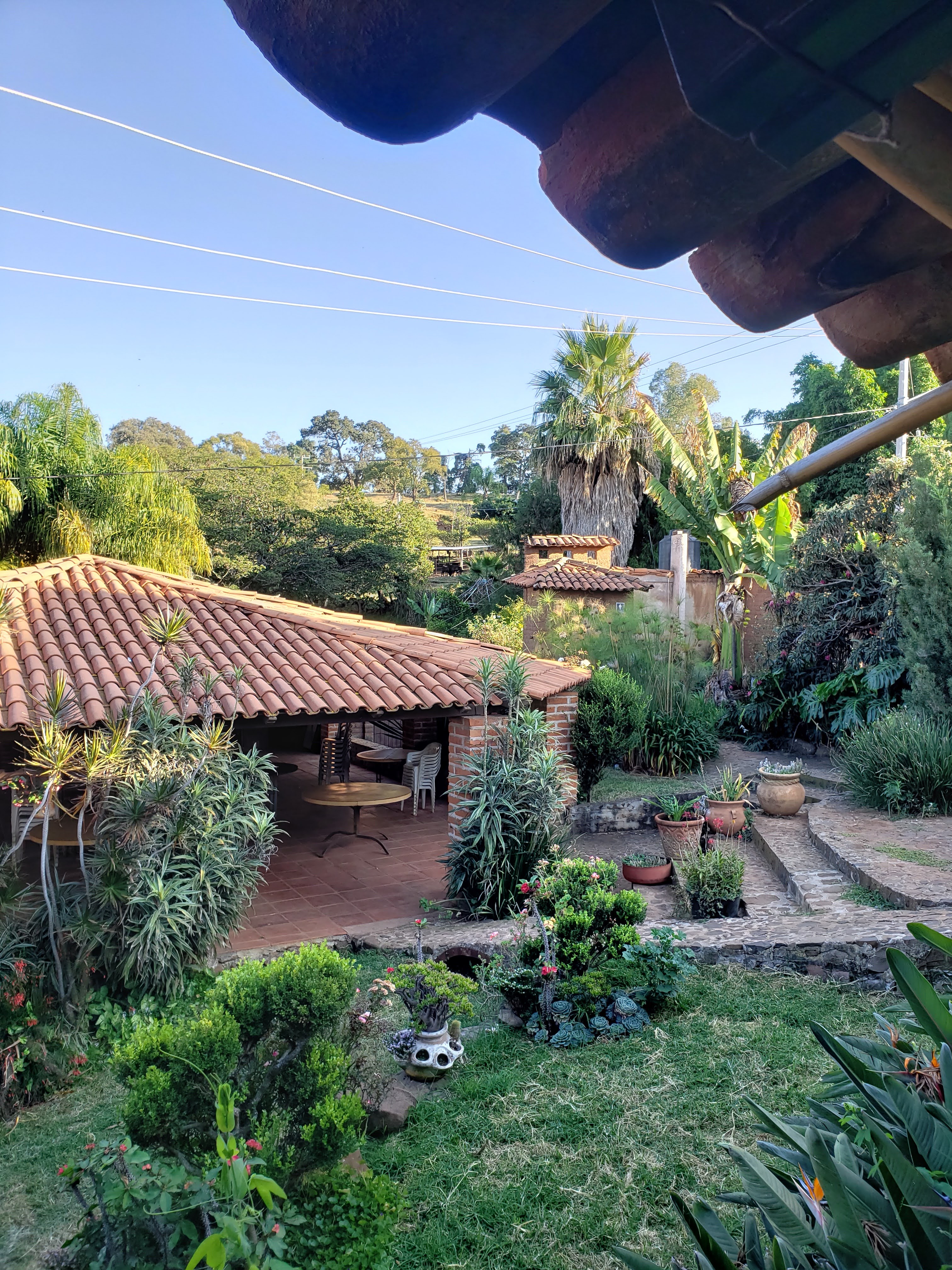 Restaurante La Violeta image 4