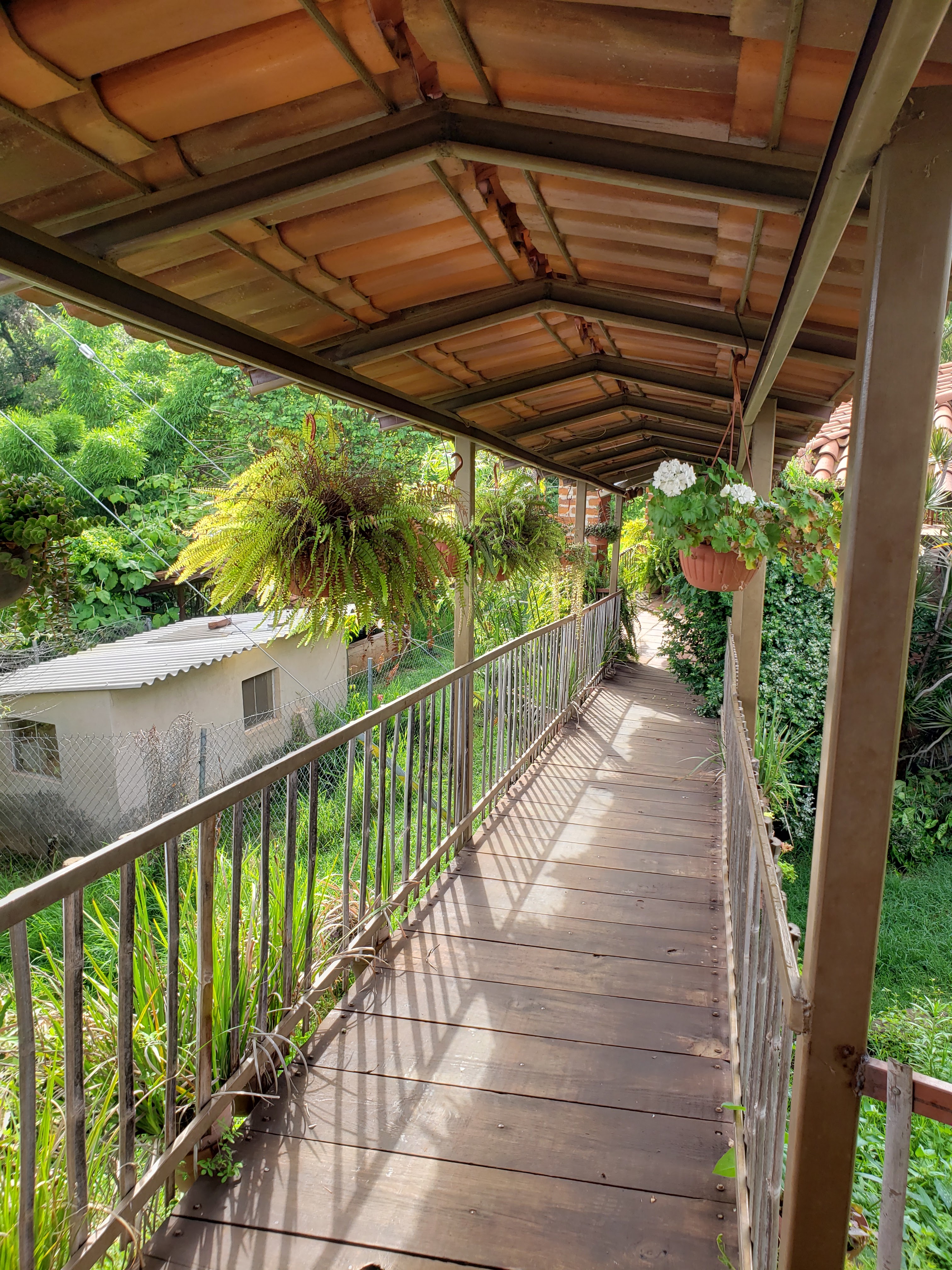 Restaurante La Violeta image 9