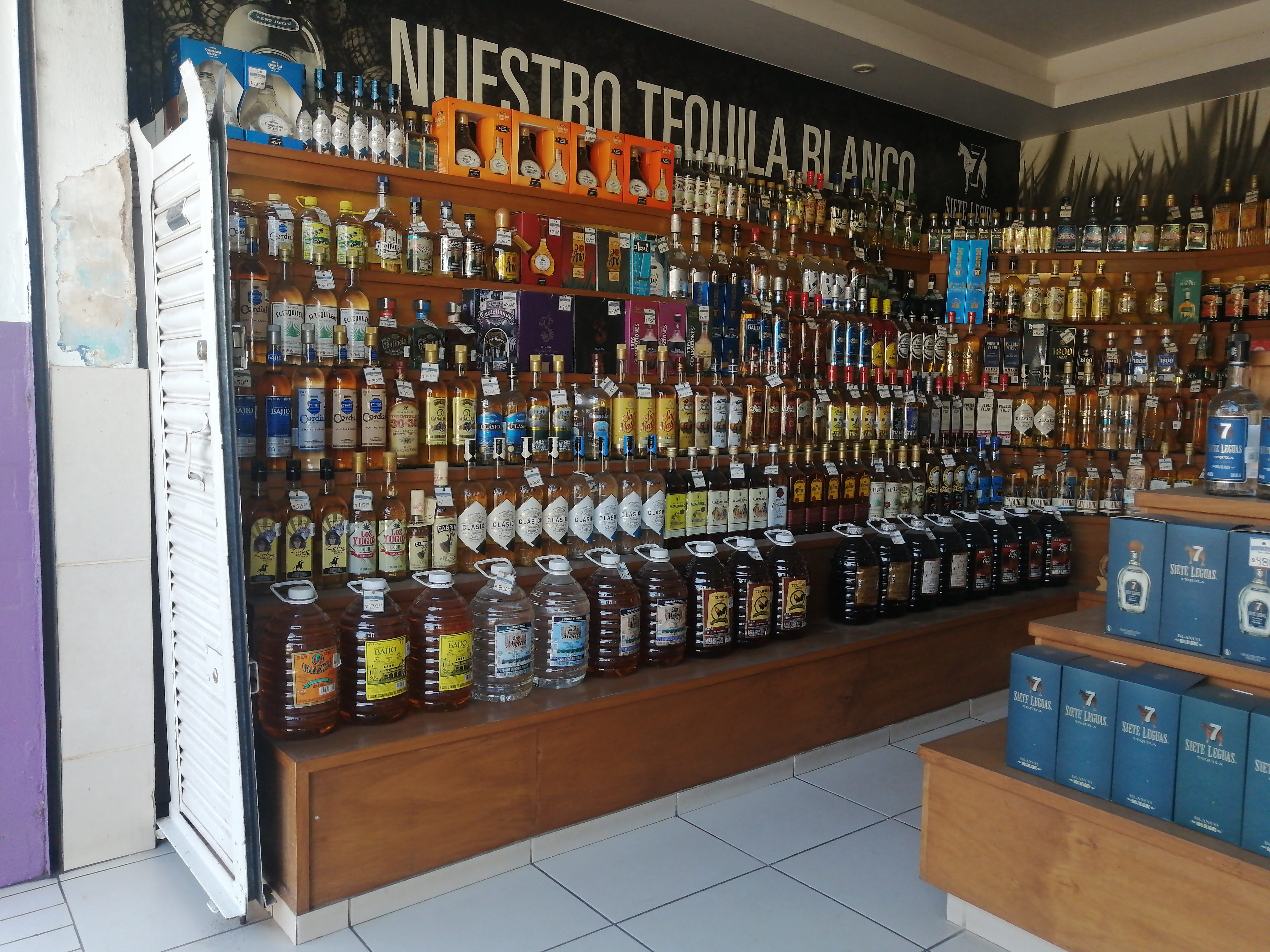 MR FISH ATOTONILCO image 1