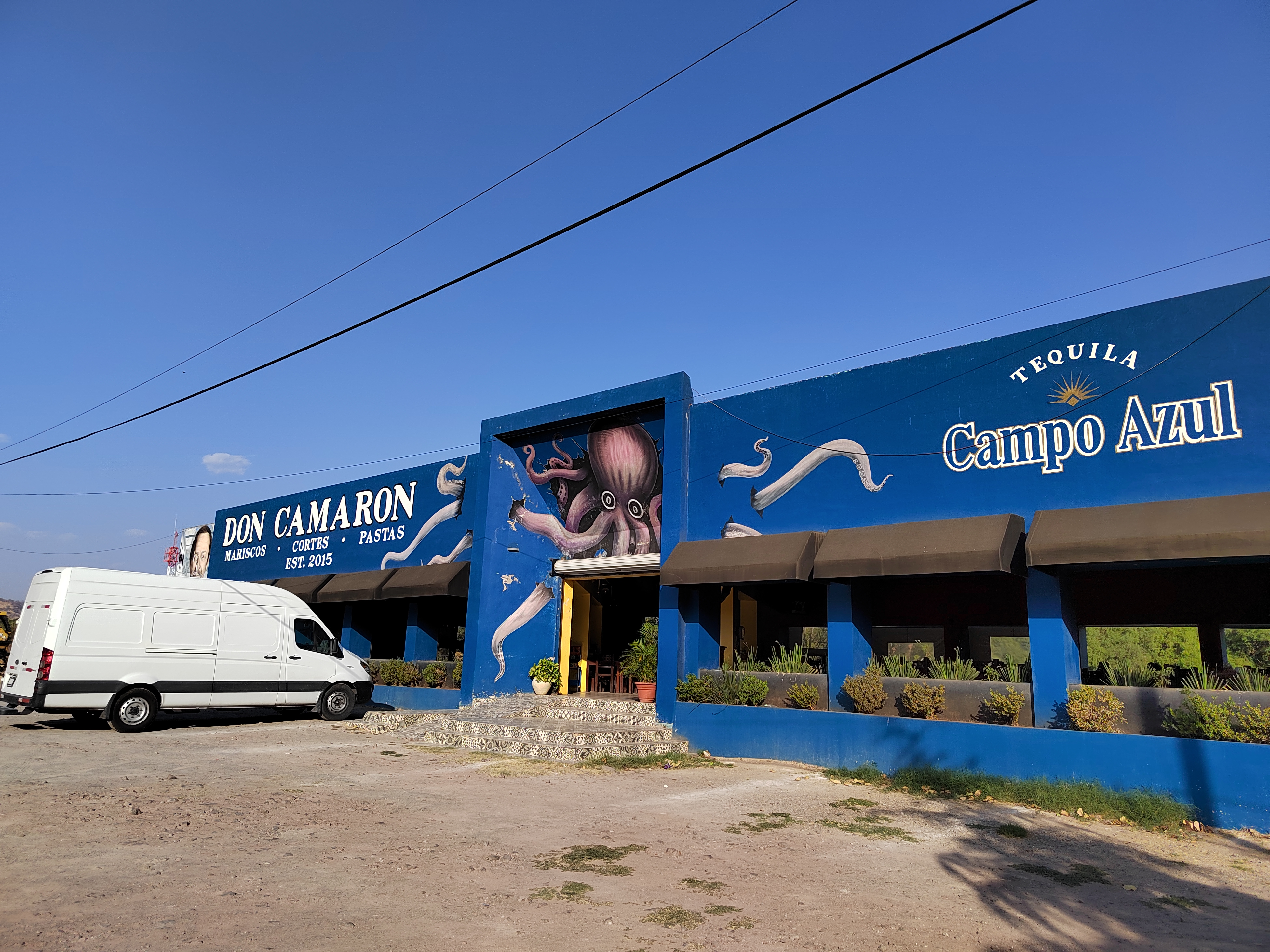 Don Camarón image 1