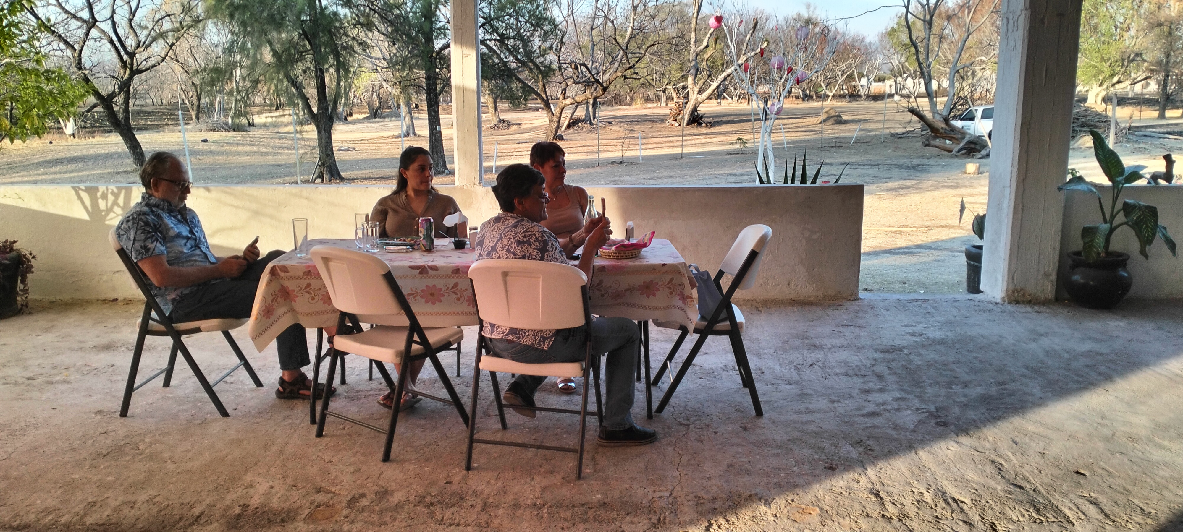 Ohana restaurante image 1