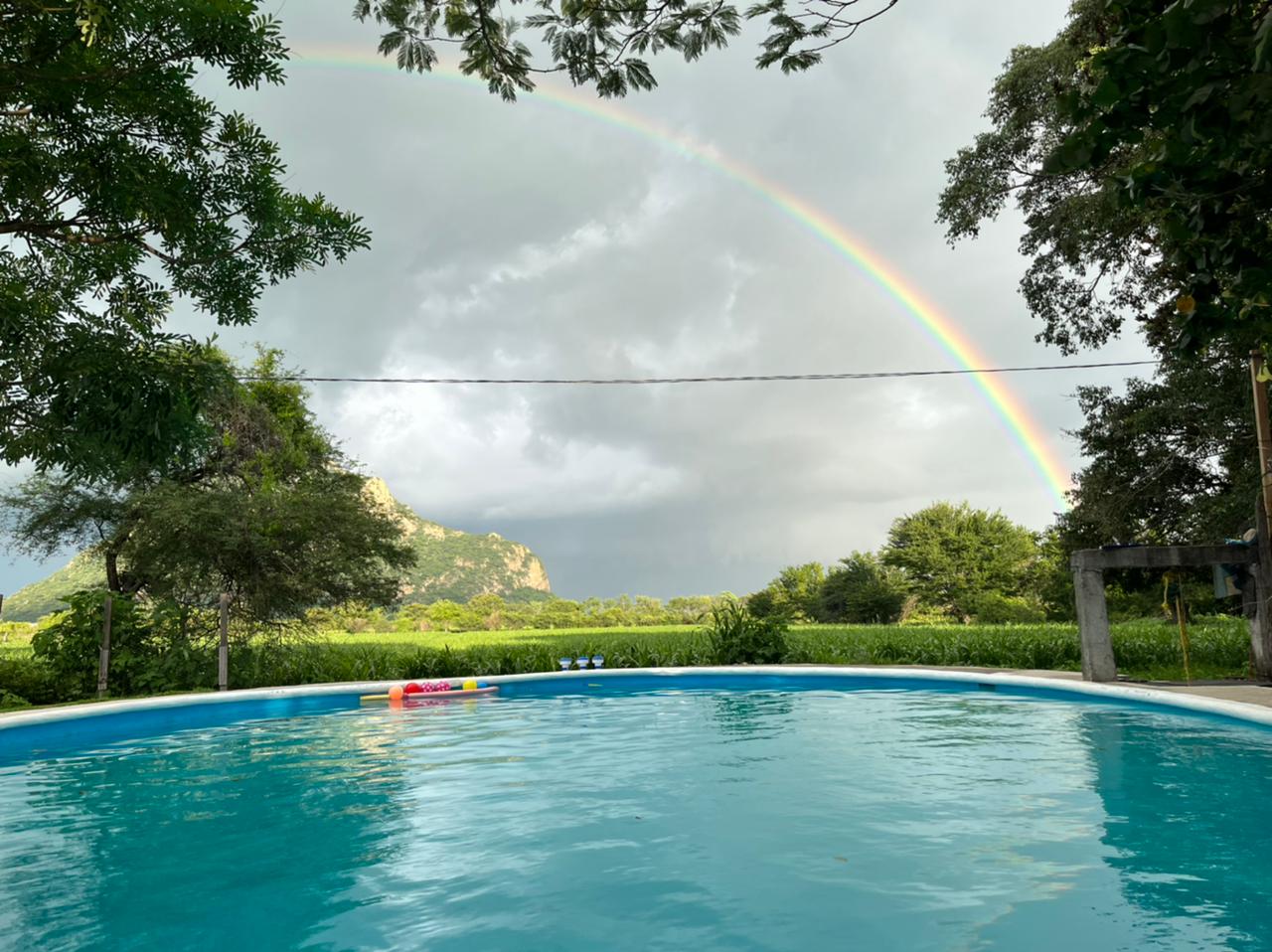 Restaurante La Rosita, Cecina de Yecapixtla, Alberca image 3