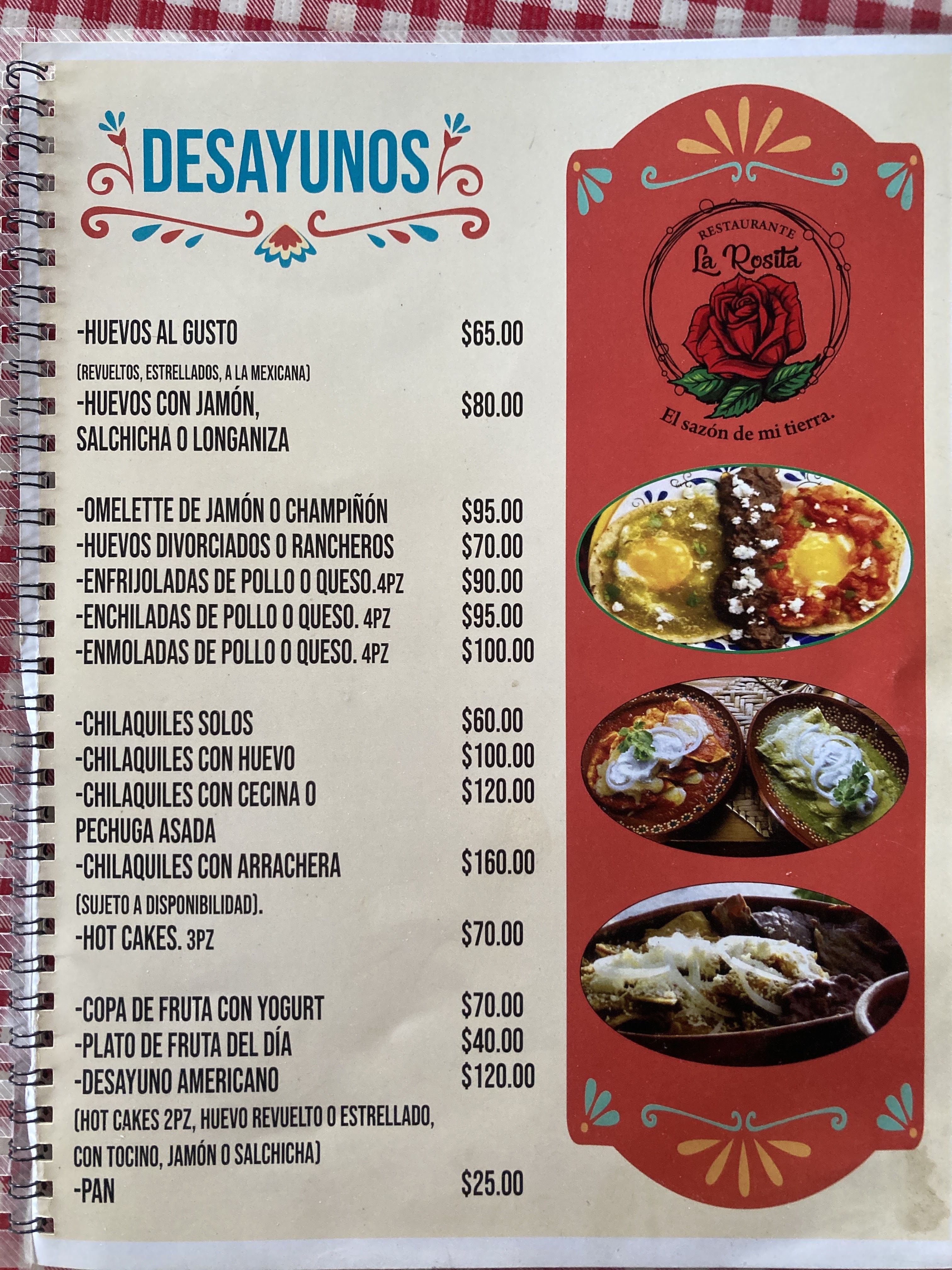 Restaurante La Rosita, Cecina de Yecapixtla, Alberca image 4
