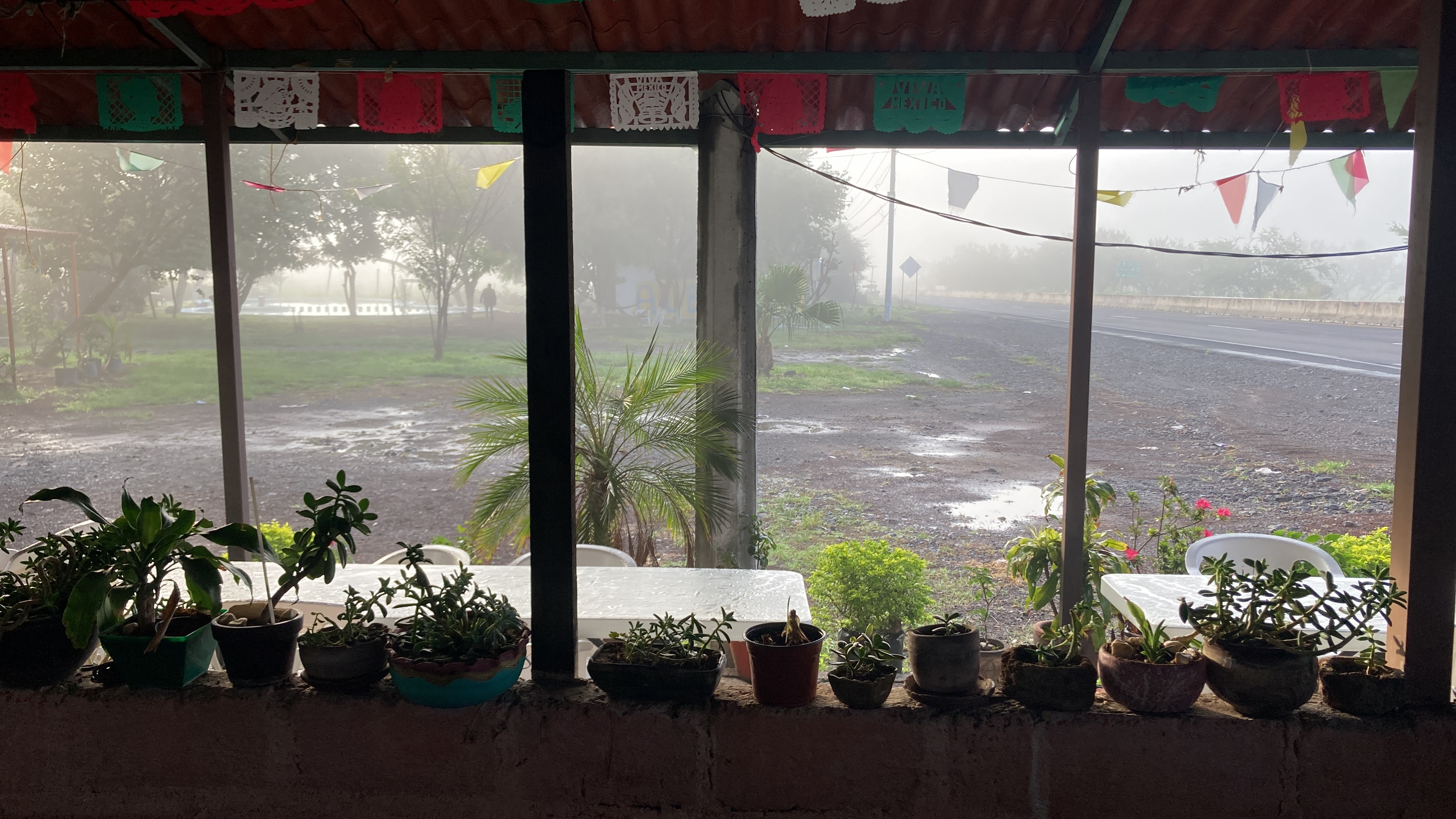 Restaurante La Rosita, Cecina de Yecapixtla, Alberca image 10