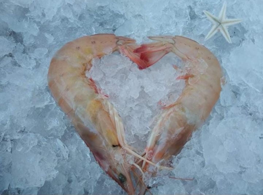 Mariscos las palmas image 10