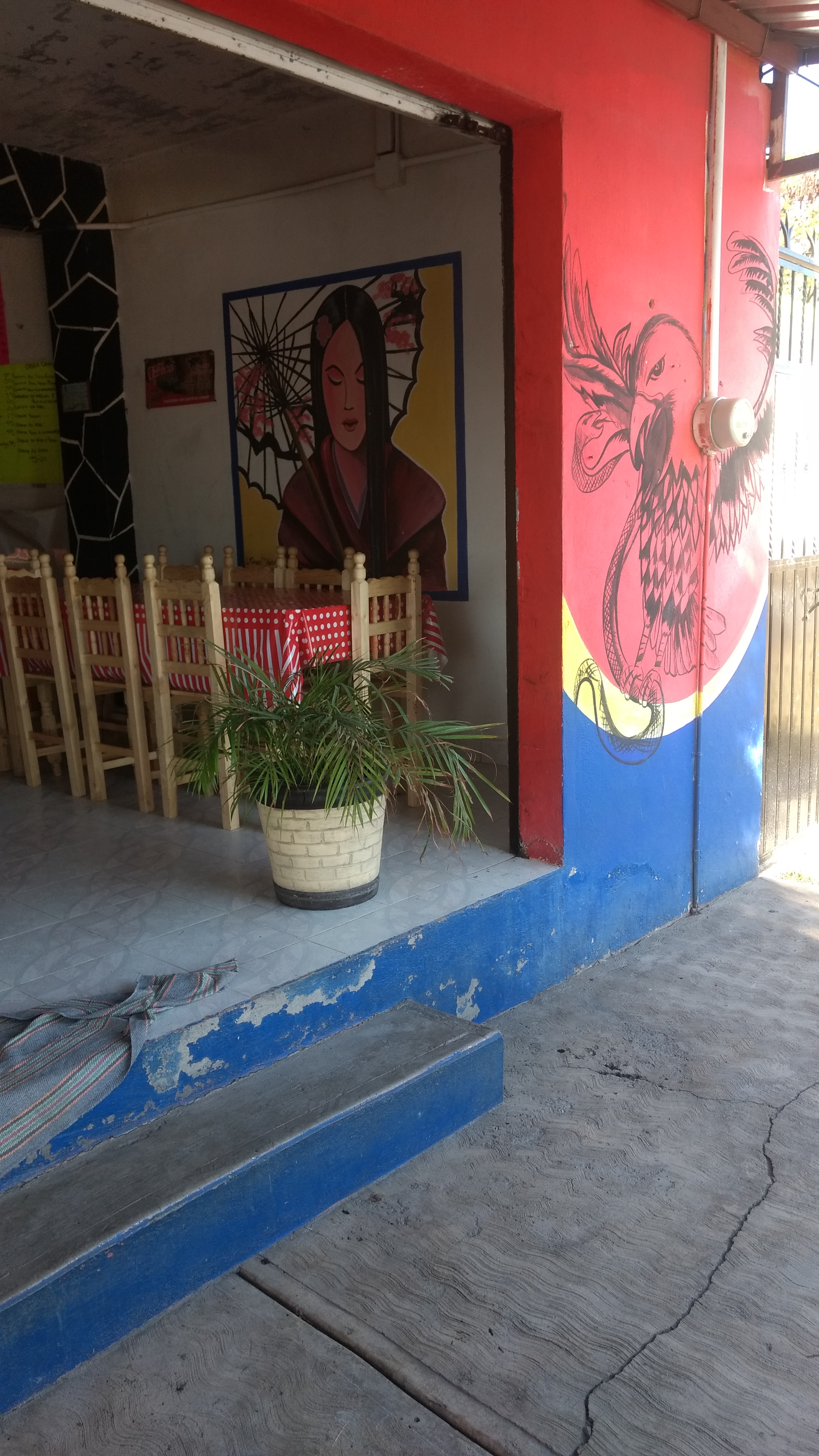 Comida China "New Dinasty" image 8