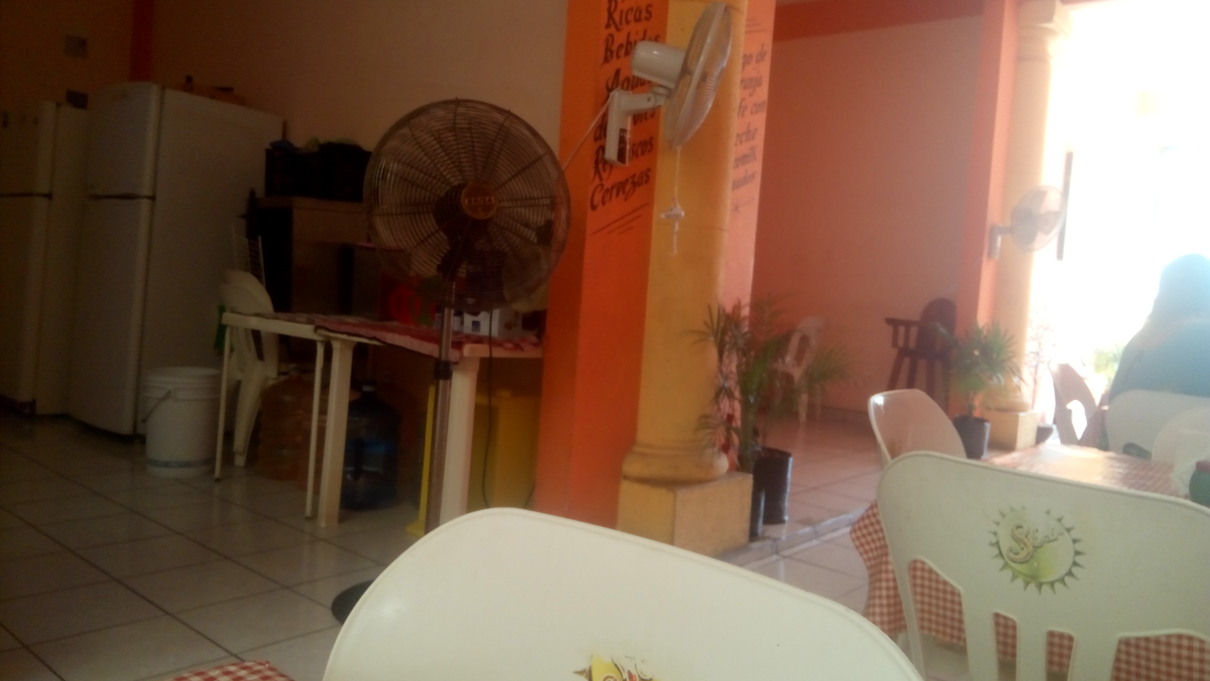 Restaurant Los Arcos image 4