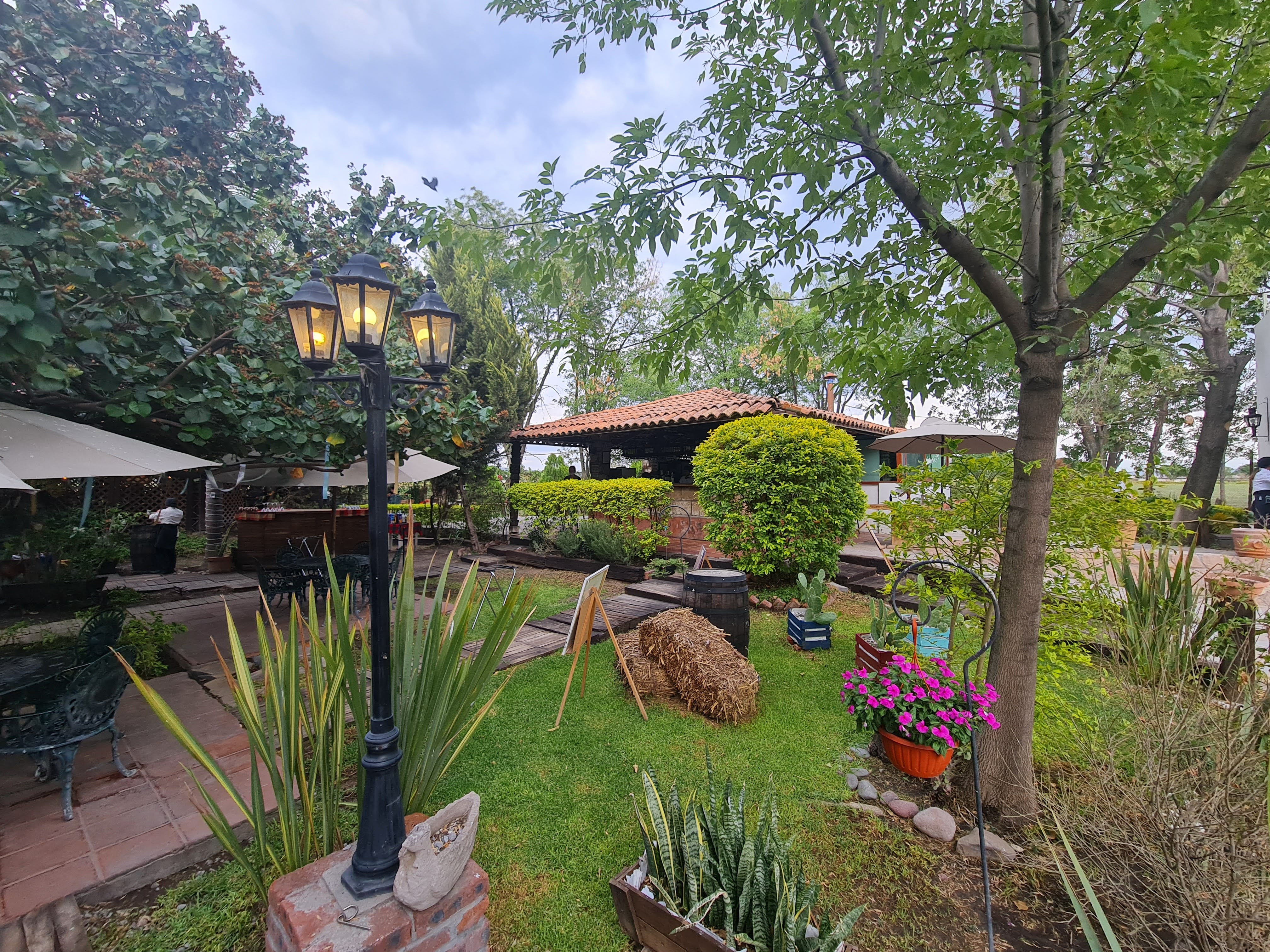 Ivanhoe Restaurante image 3