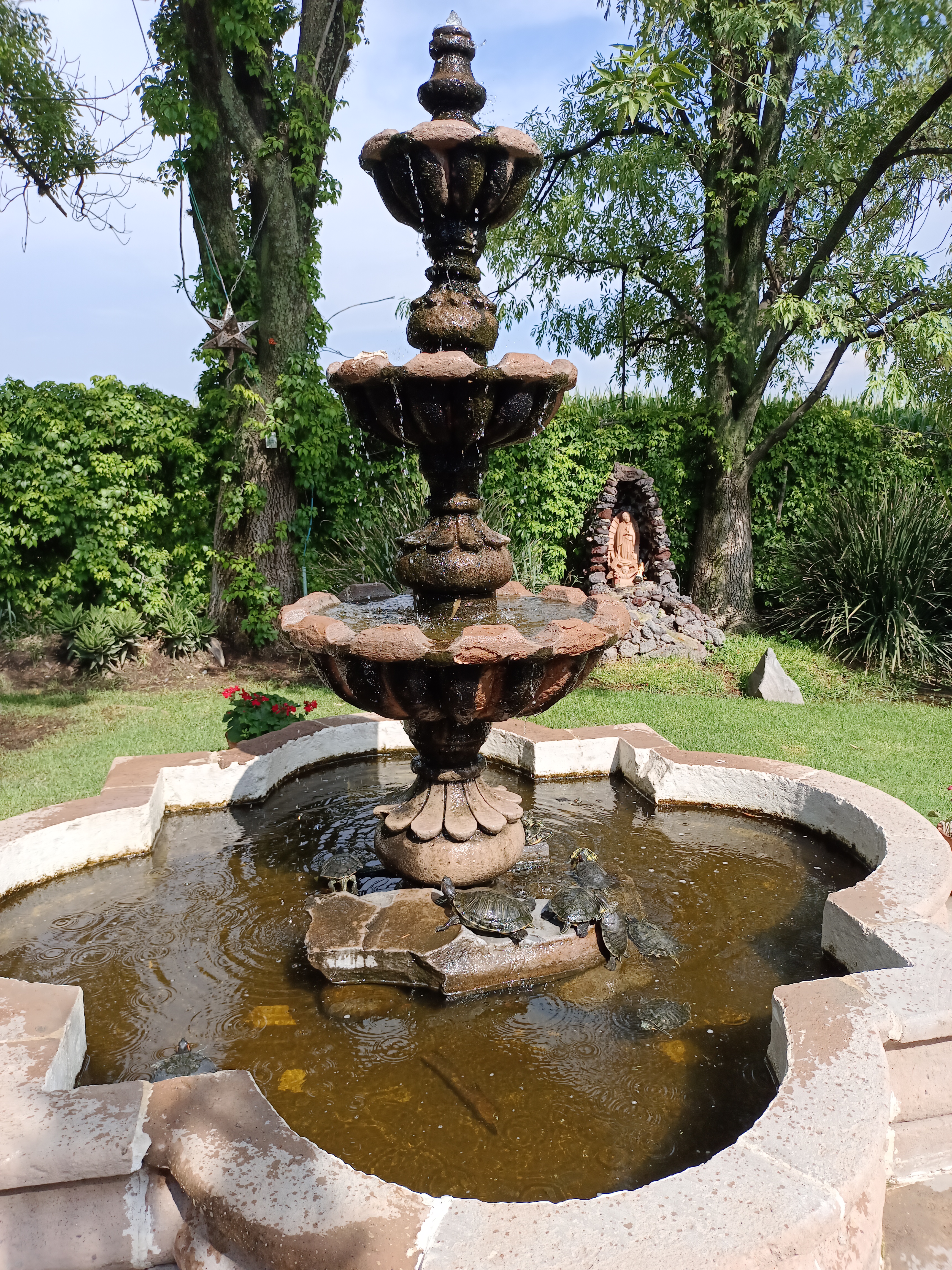 Ivanhoe Restaurante image 4