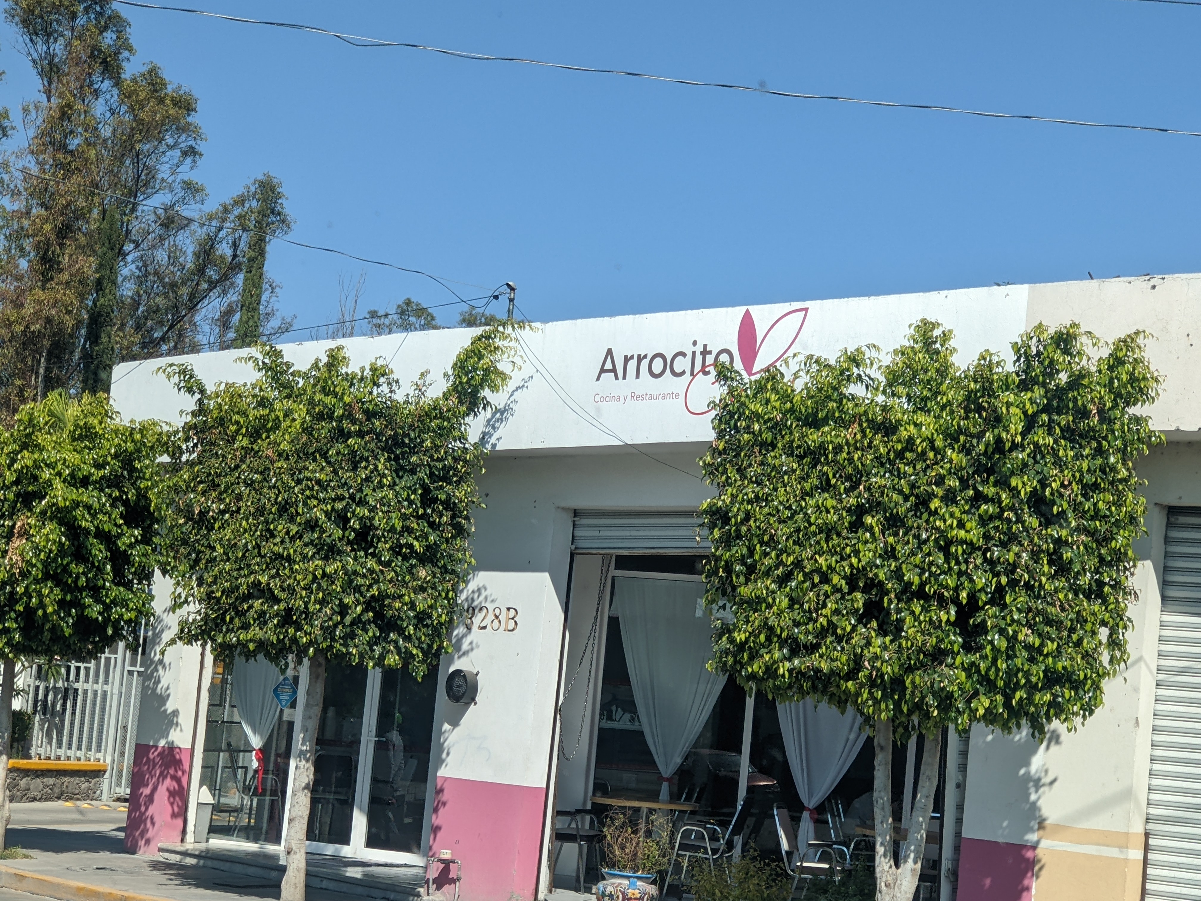 Arrocito corazon image 1