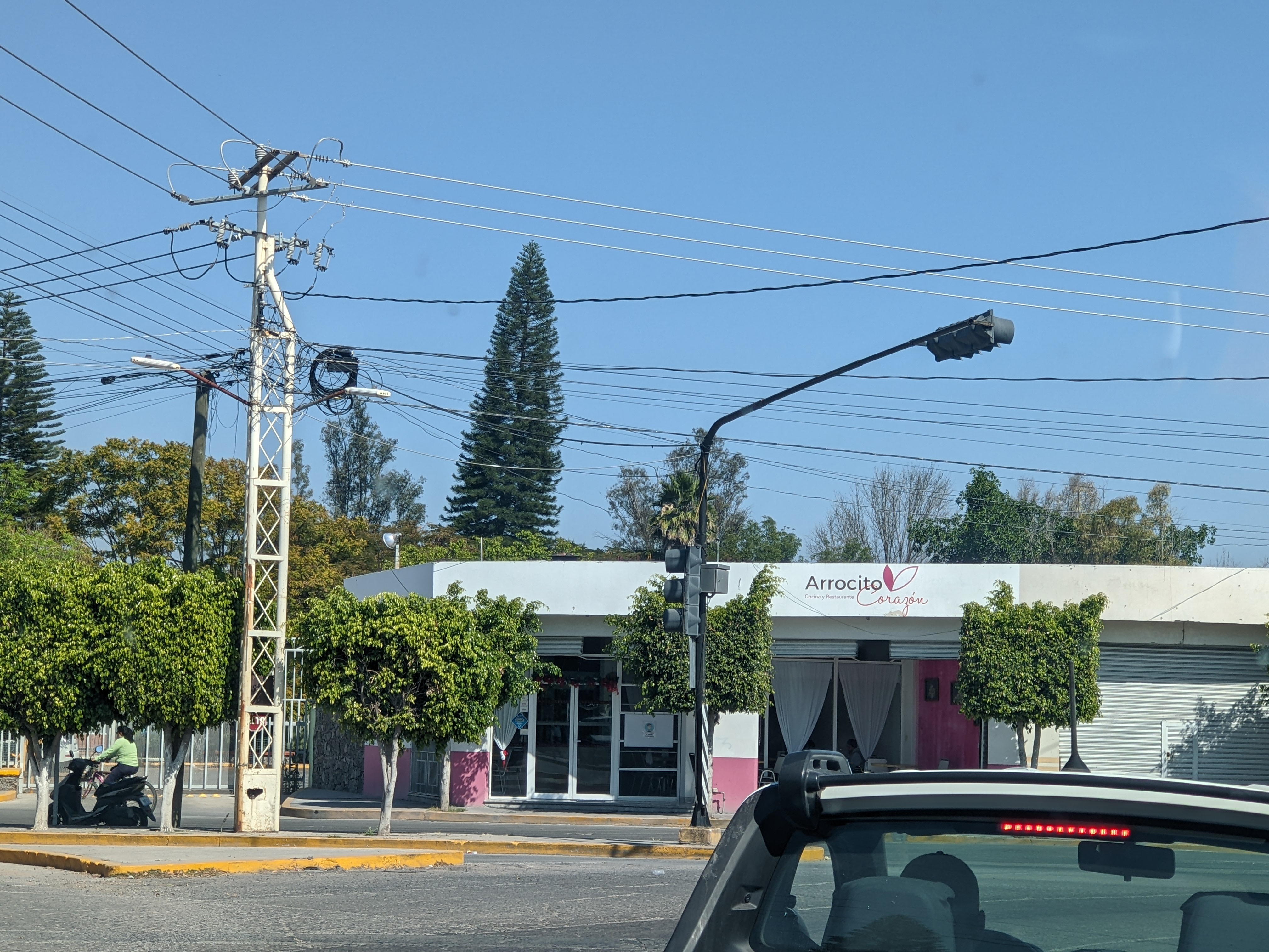 Arrocito corazon image 6