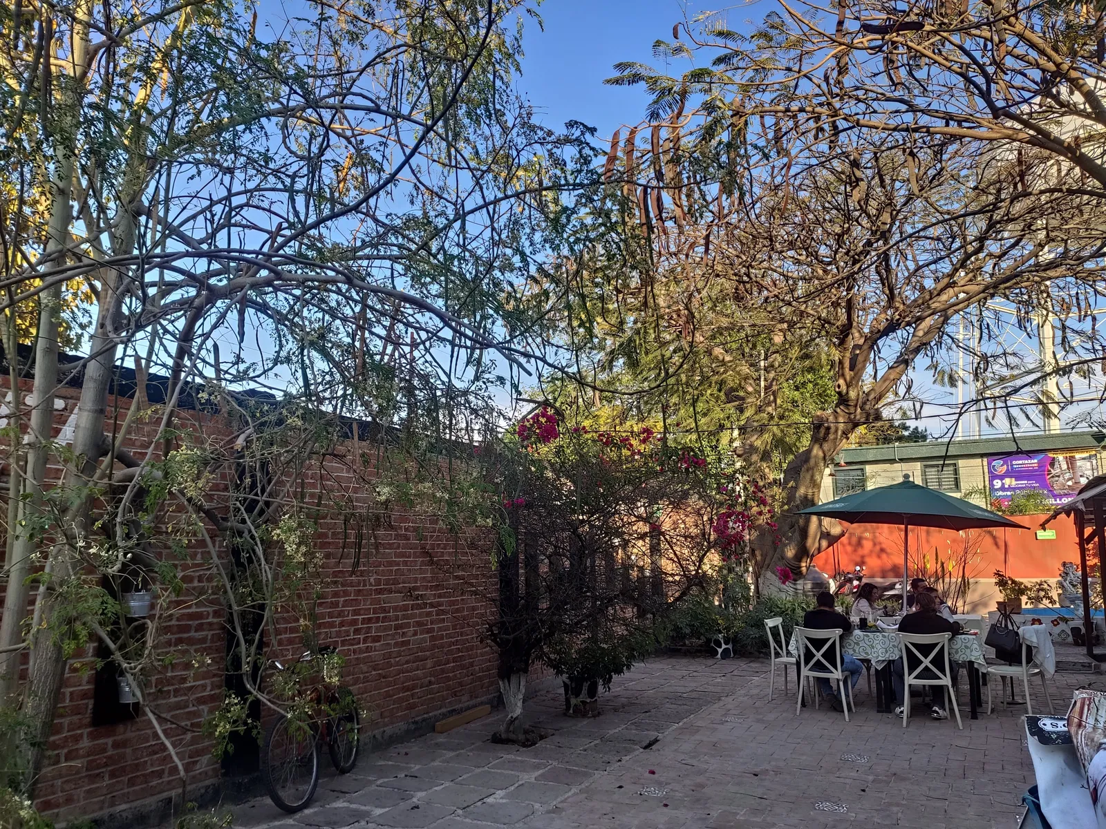 Maria de Nadie Restaurant & Bar image 8