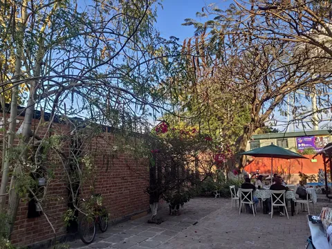 Maria de Nadie Restaurant & Bar image 8