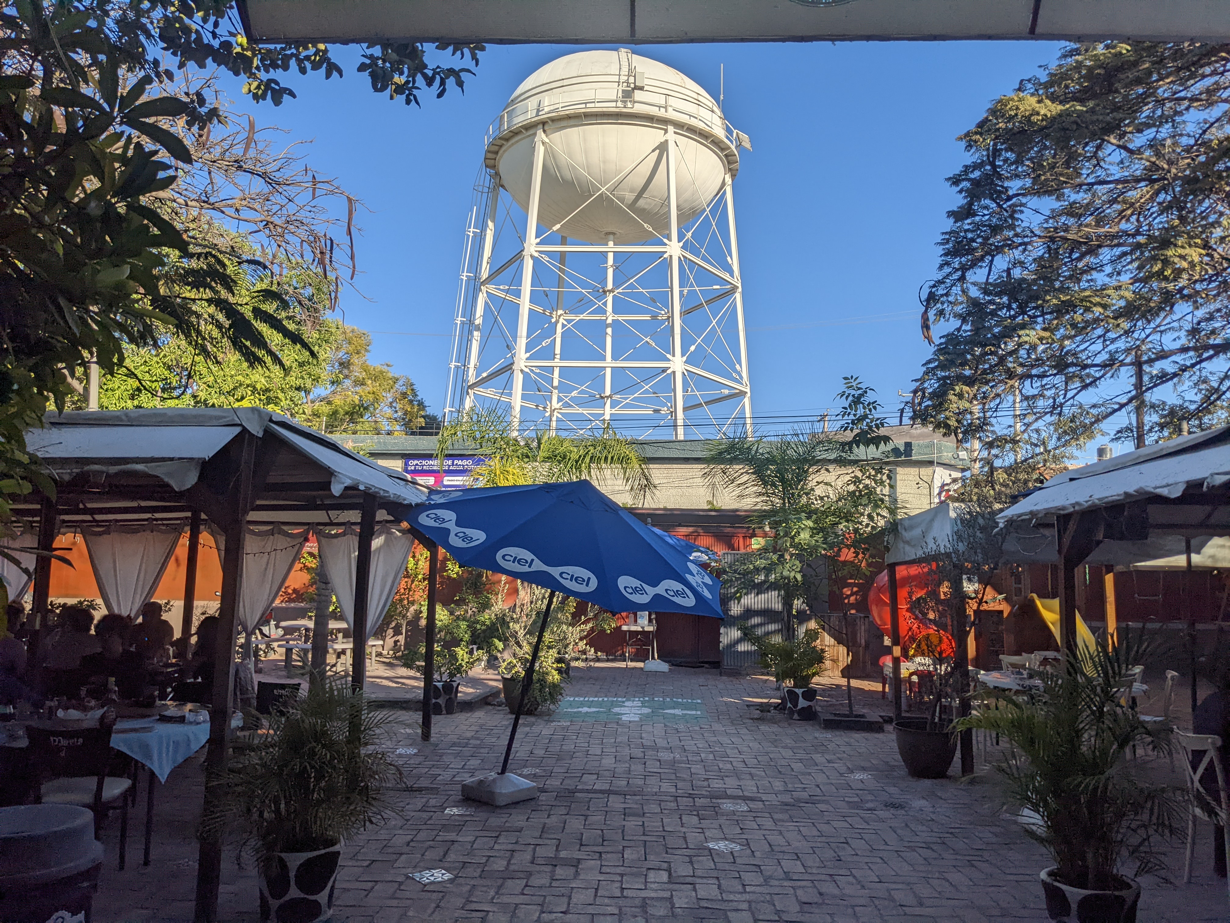 Maria de Nadie Restaurant & Bar image 10