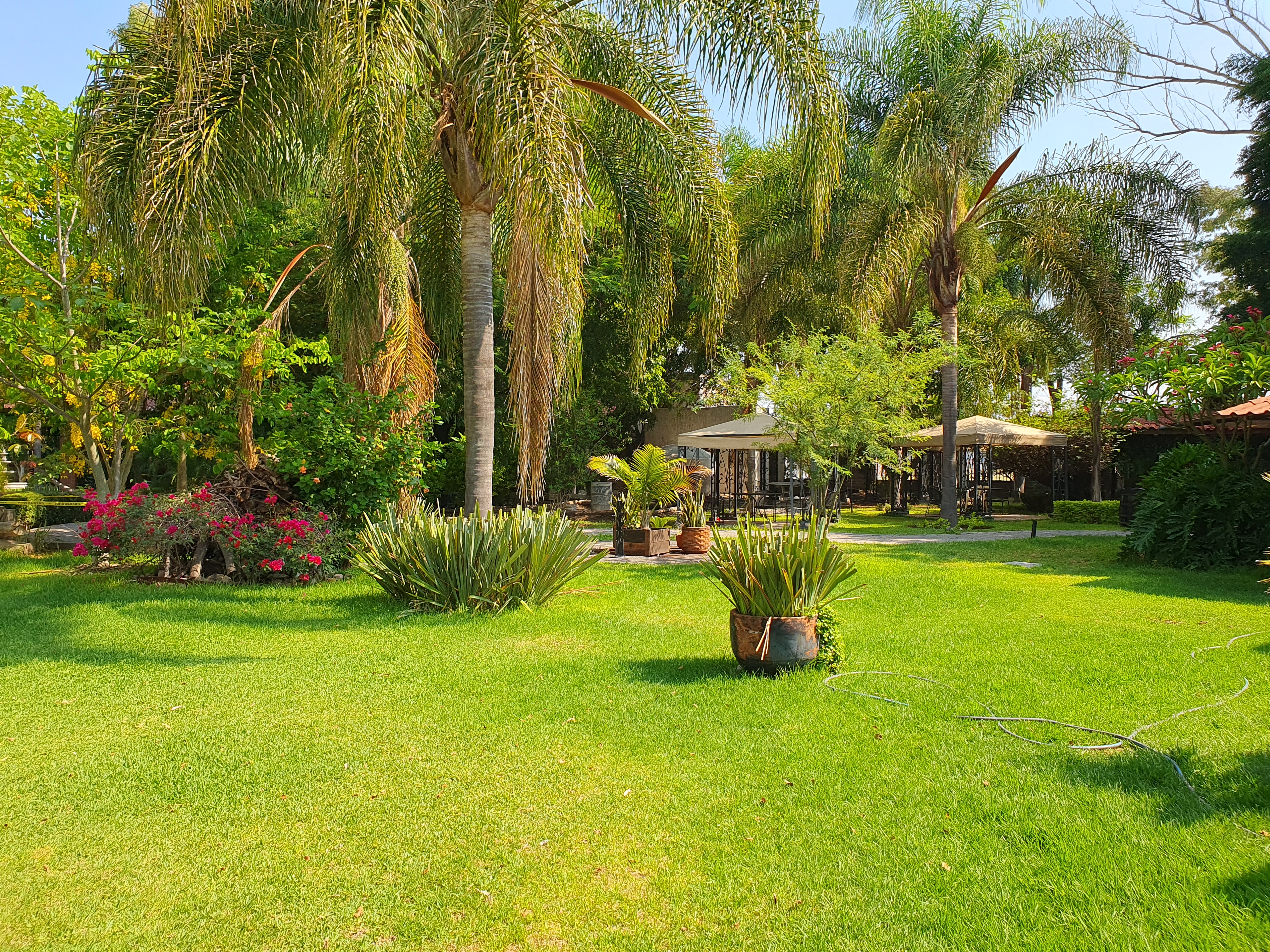 Restaurant La Granja image 4