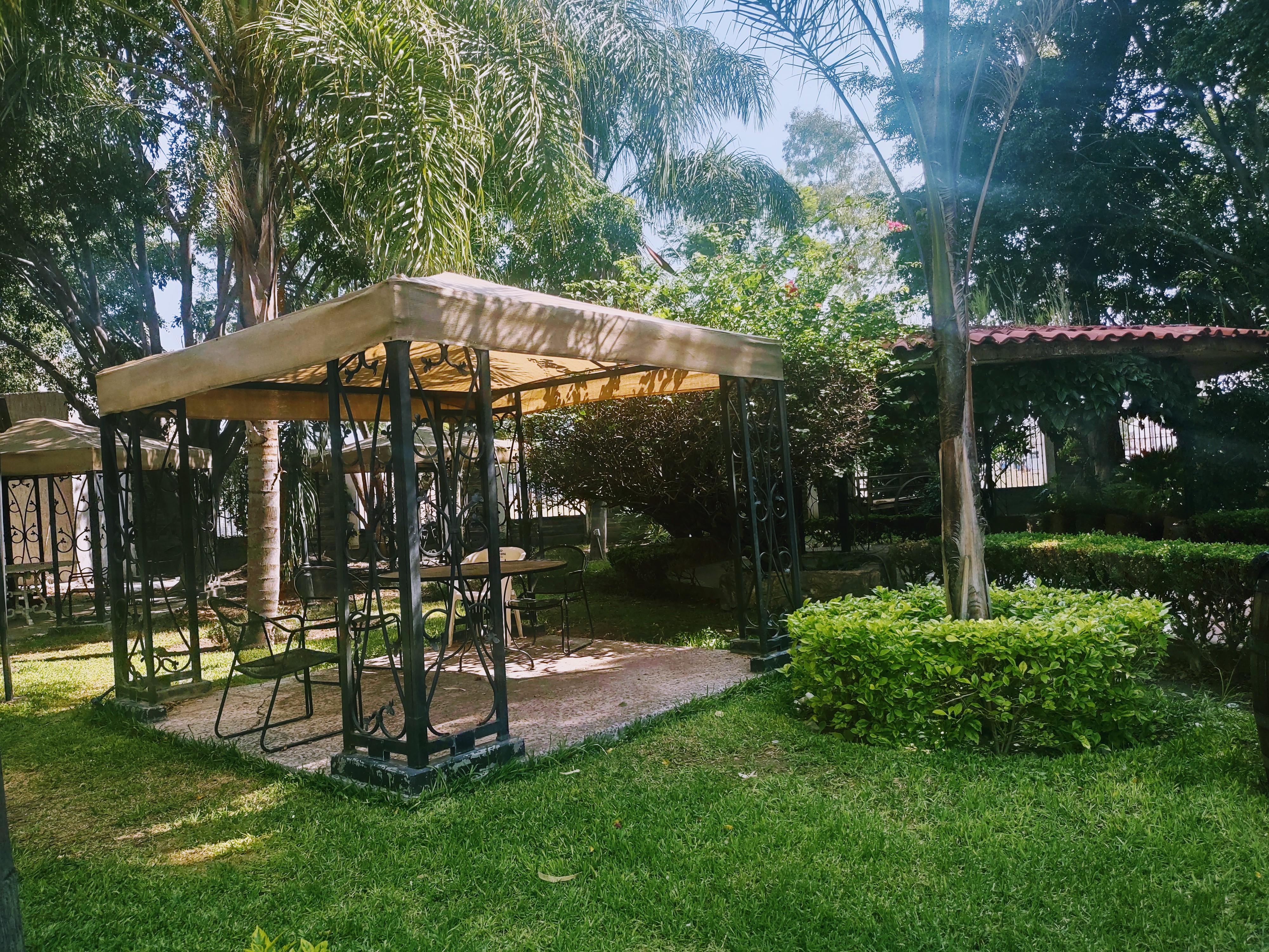 Restaurant La Granja image 6