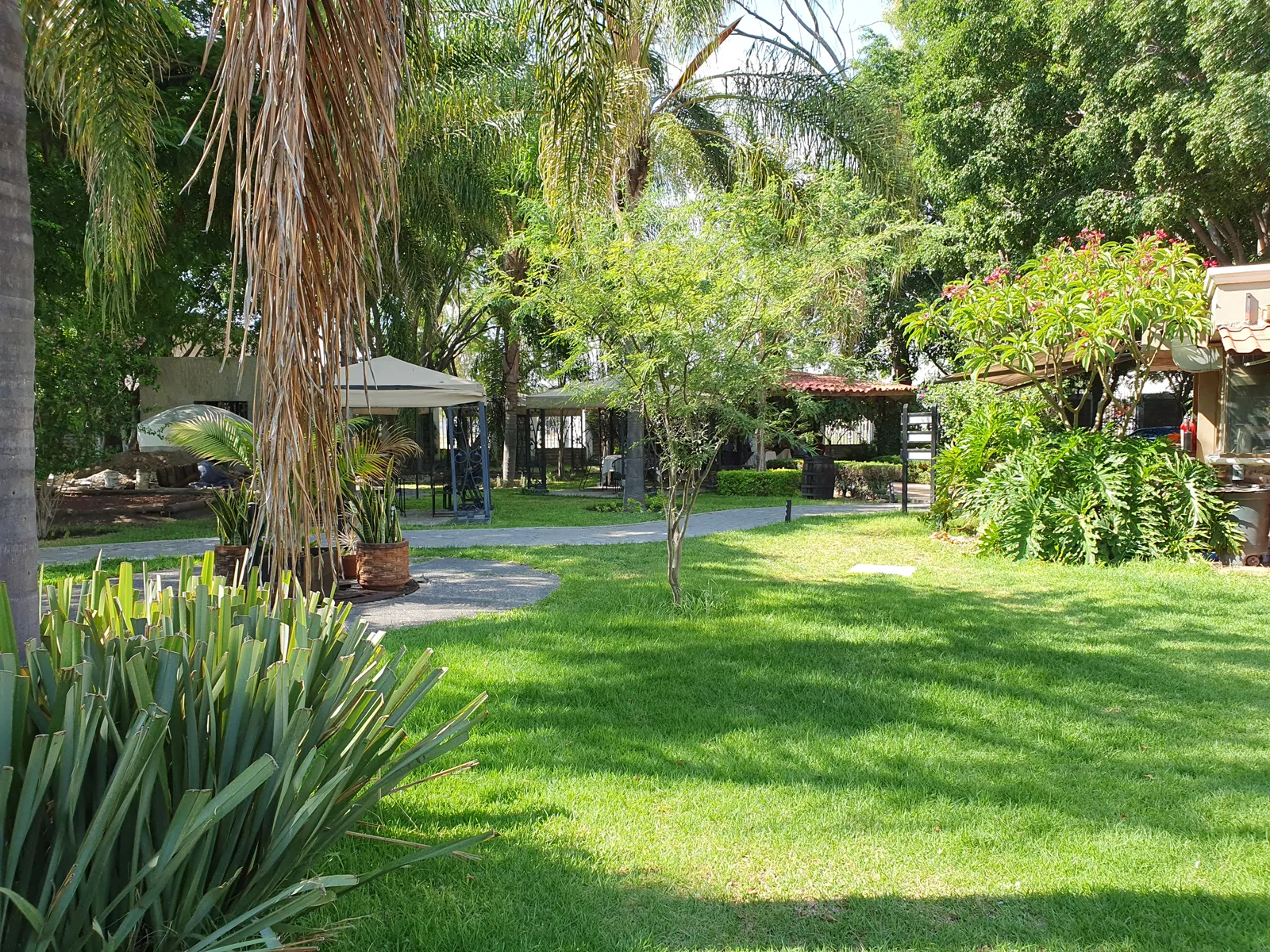 Restaurant La Granja image 9