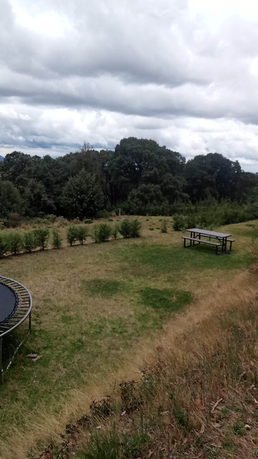 La Revolución Restaurante image 3