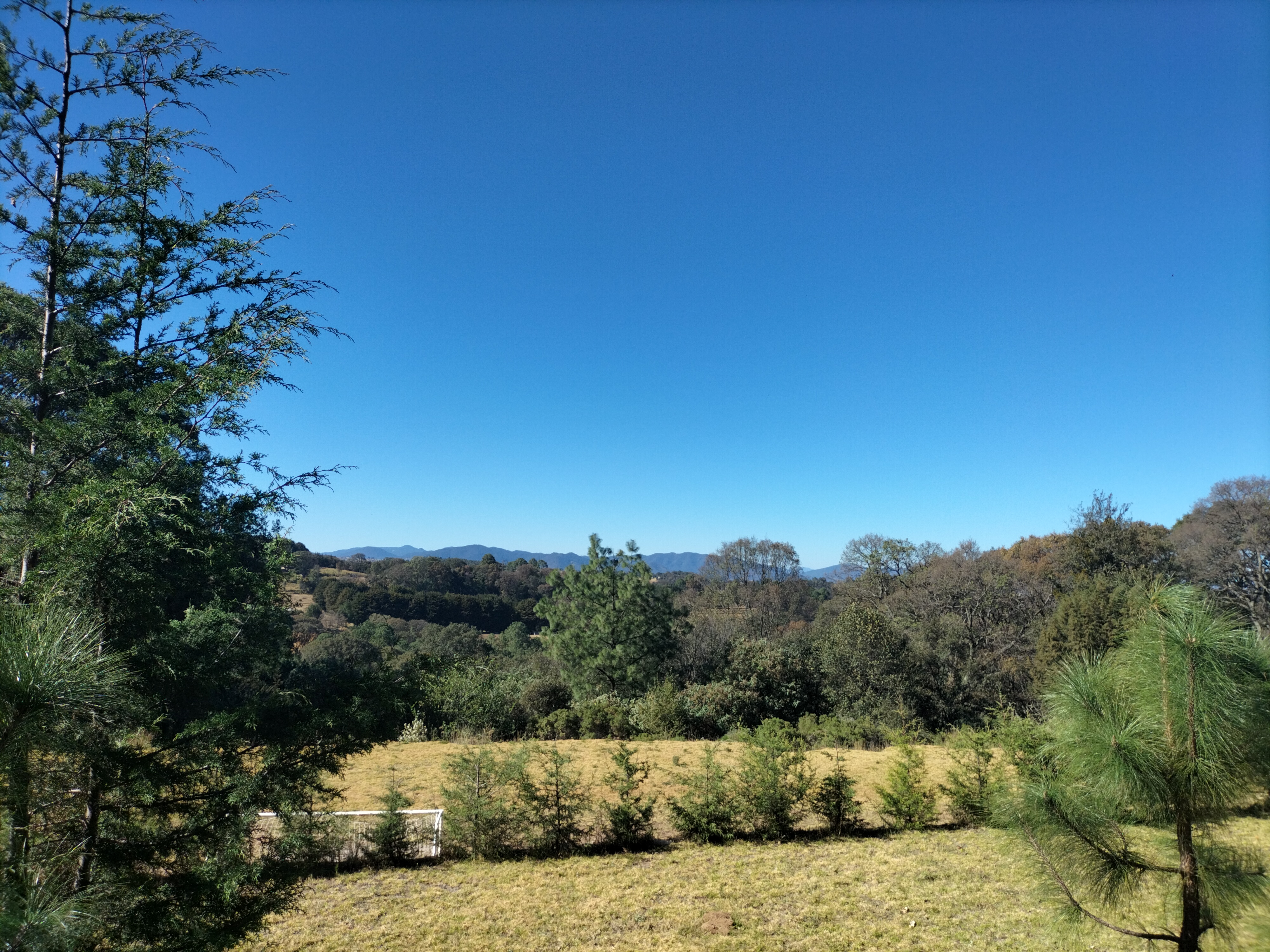 La Revolución Restaurante image 6