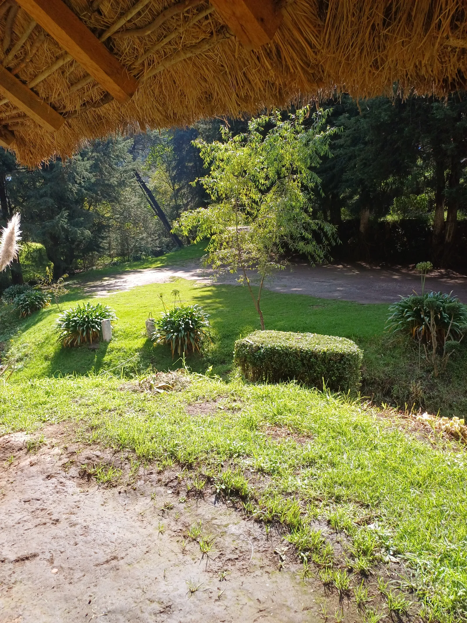 Truchas "Las Cabañas," image 3
