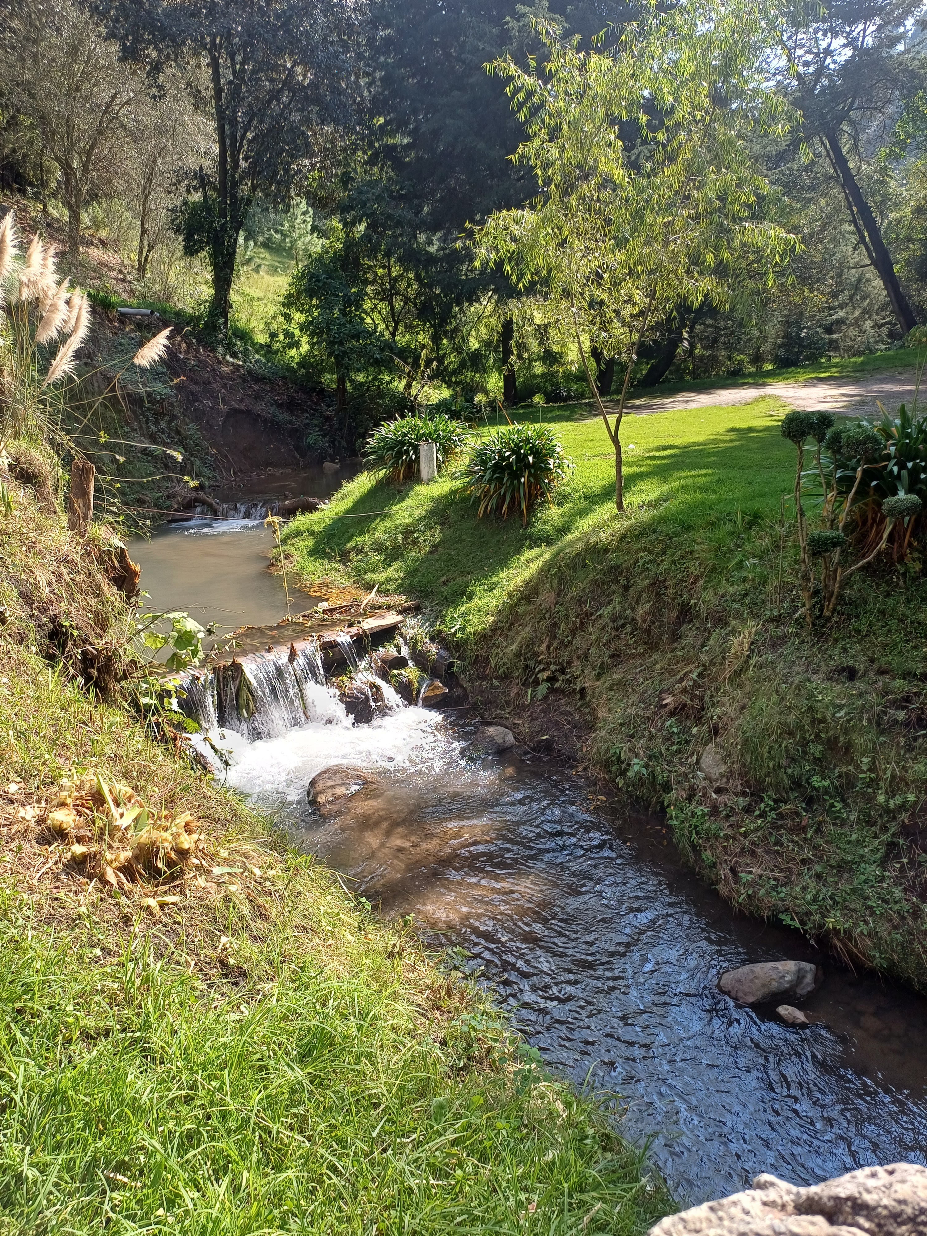 Truchas "Las Cabañas," image 7