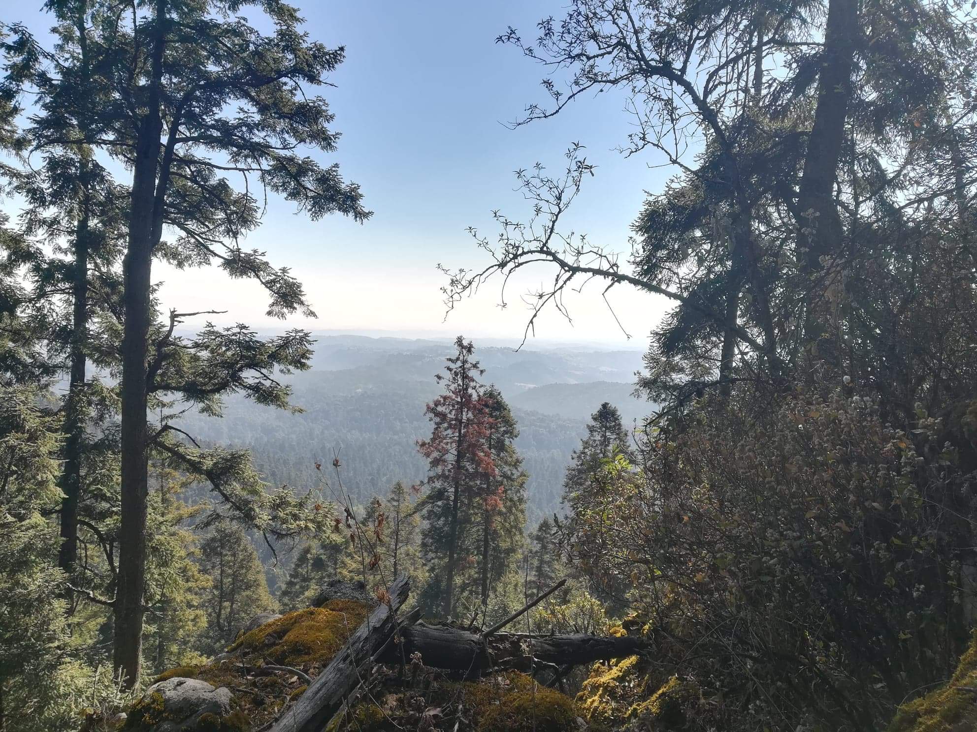 Truchas "Las Cabañas," image 8