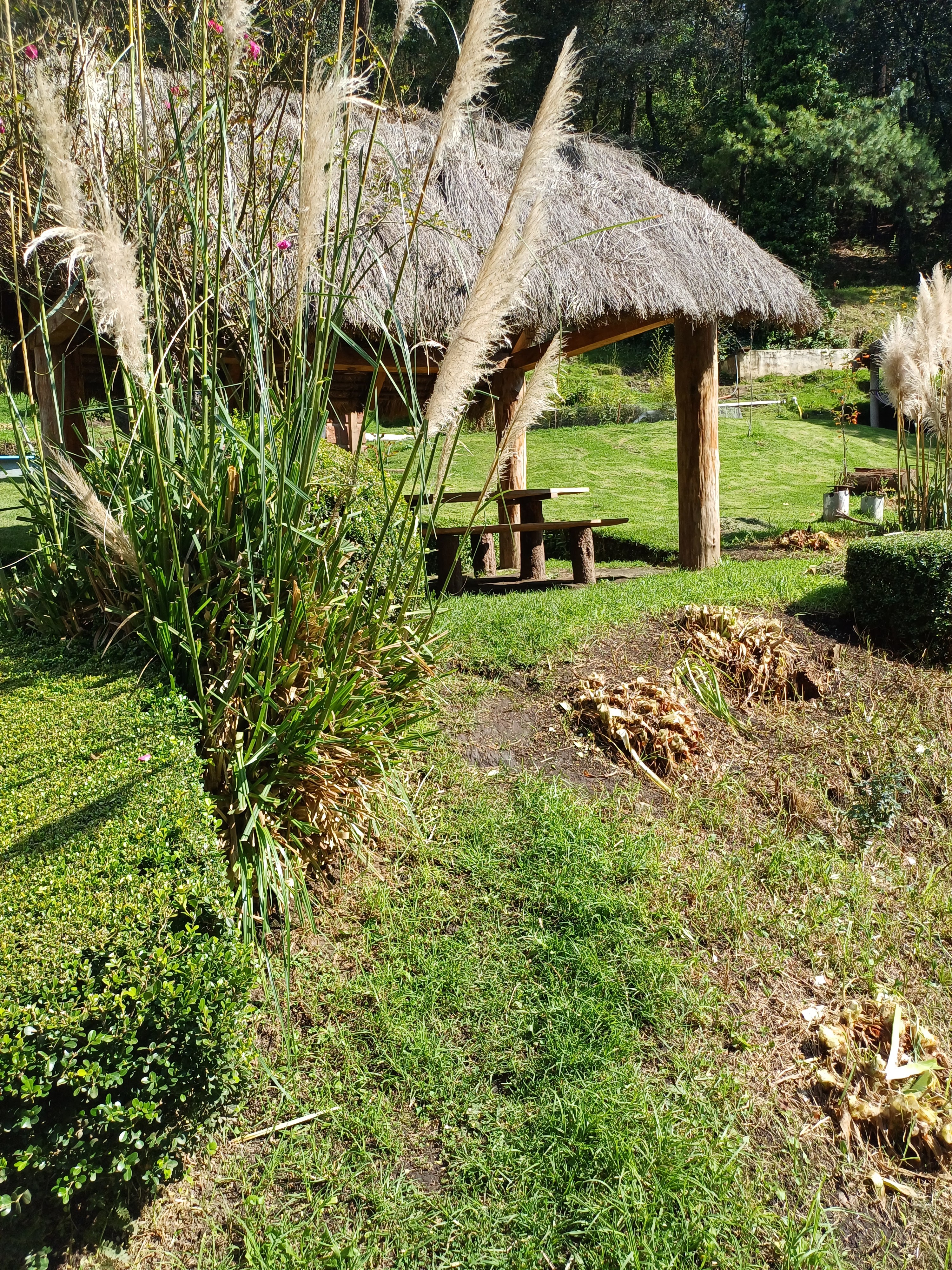 Truchas "Las Cabañas," image 10