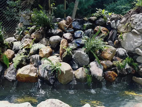 Truchas Ojo De Agua image 5