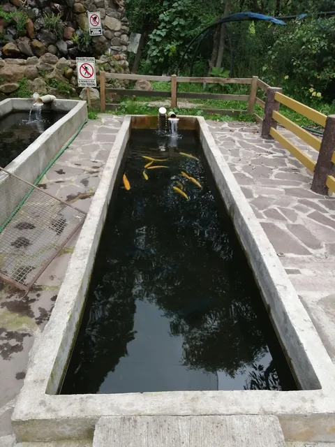 Truchas Ojo De Agua image 6