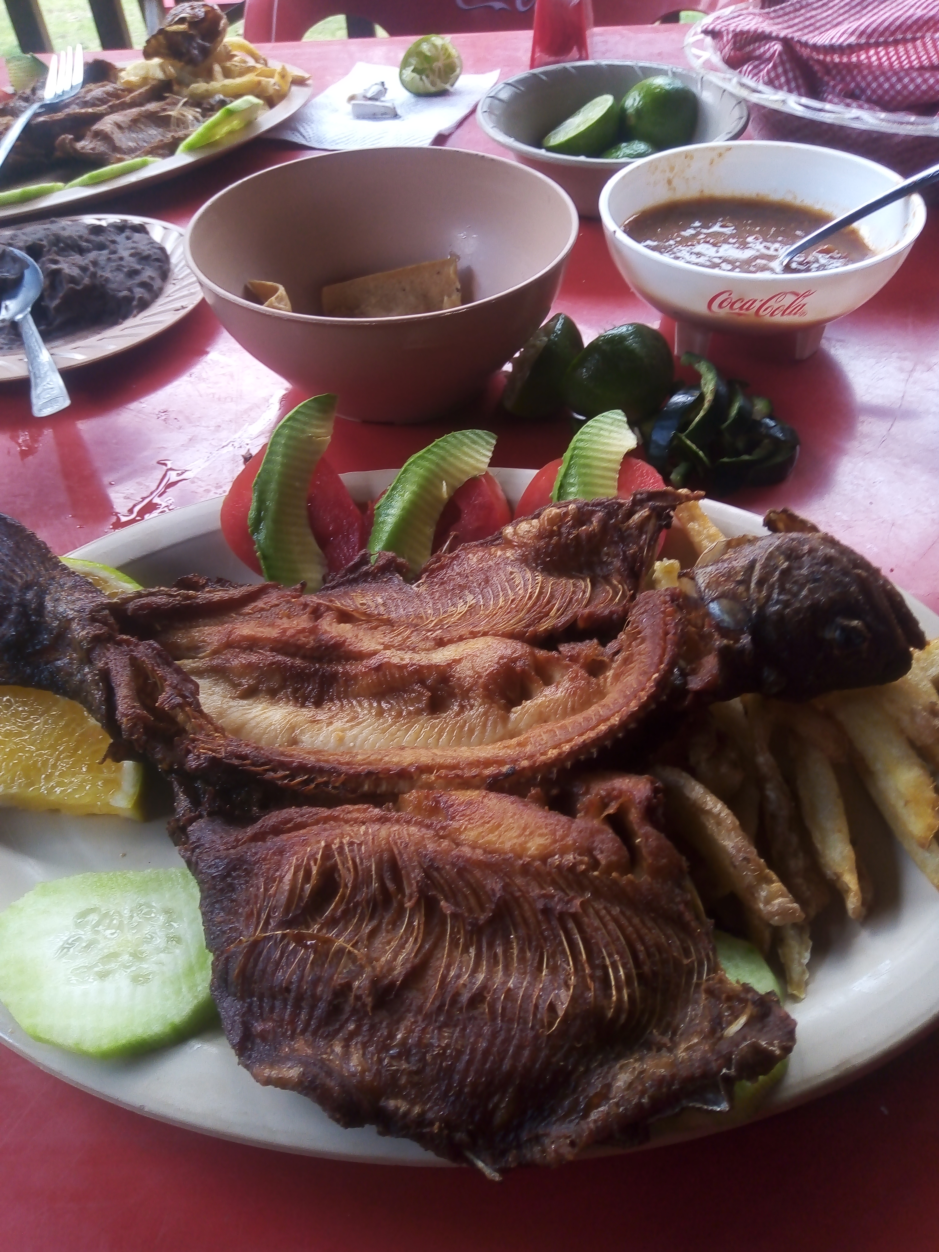 Truchas Ojo De Agua image 9