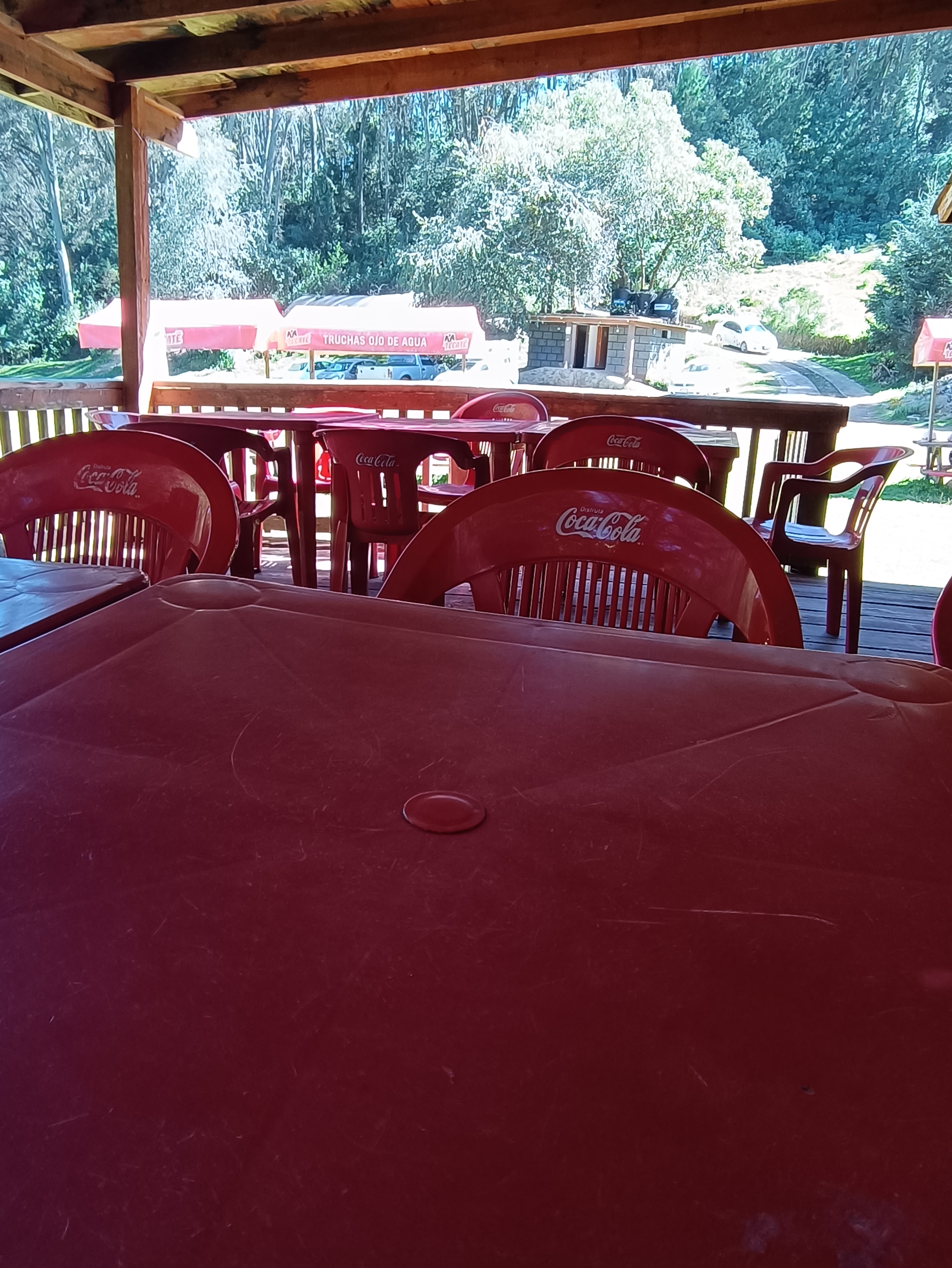 Truchas Ojo De Agua image 10