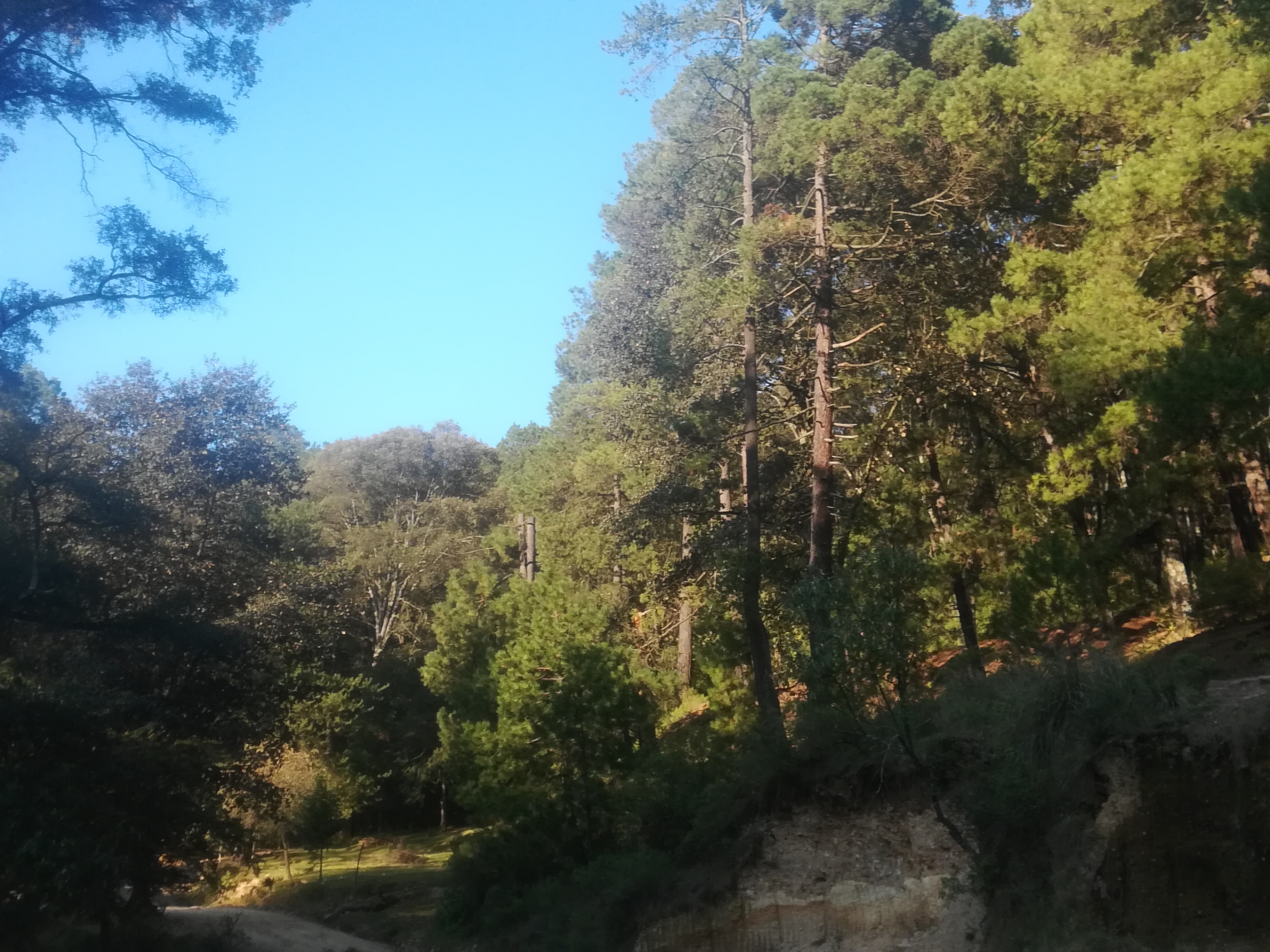 Truchilandia image 3