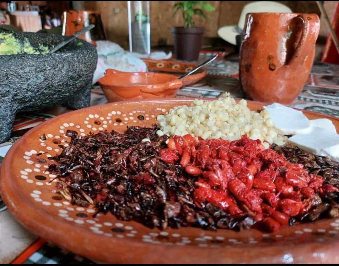 Mestizo comida tradicional mexicana image 9
