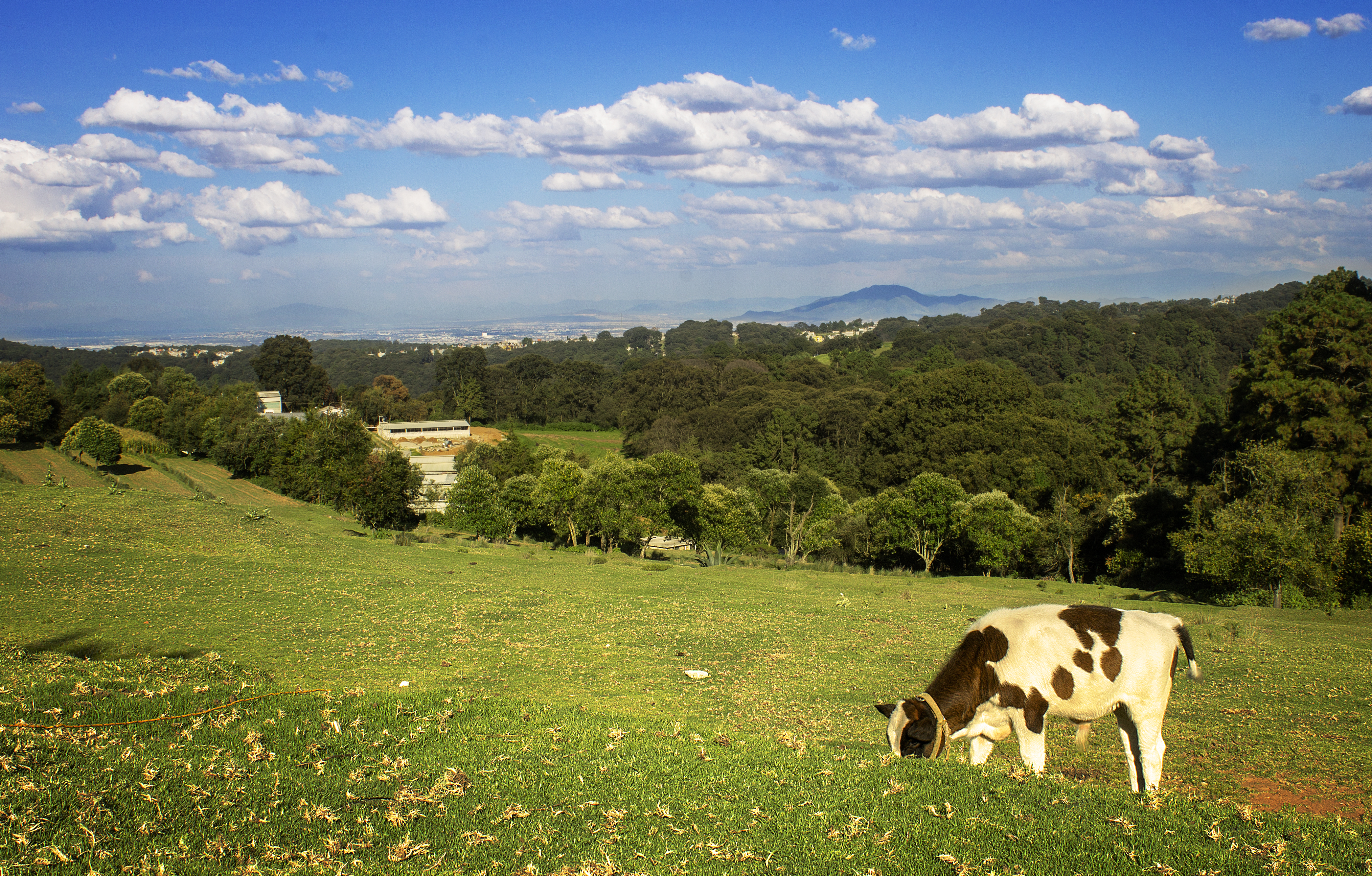 Rest. El Mirador Gotcha image 3