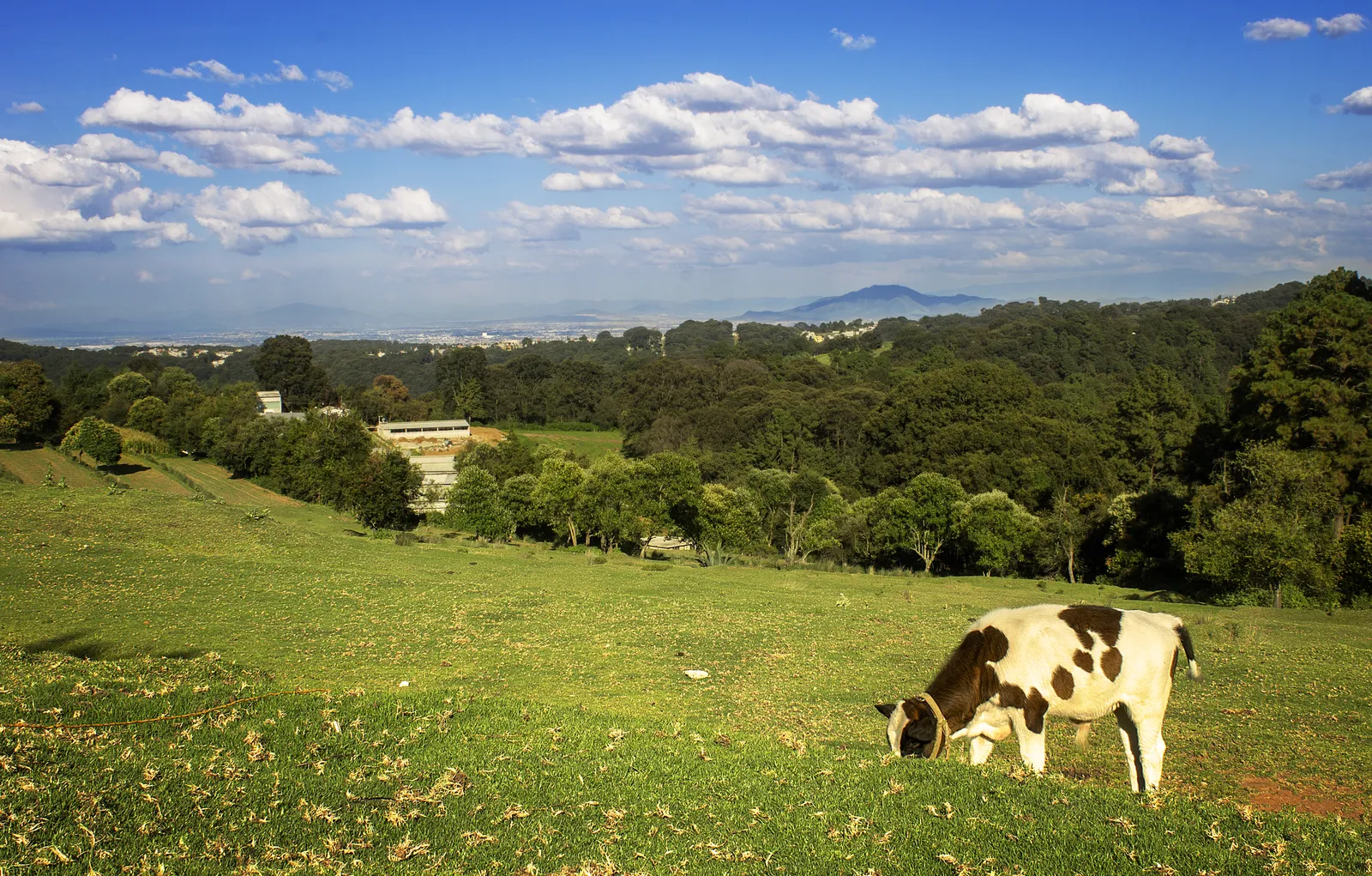Rest. El Mirador Gotcha image 3