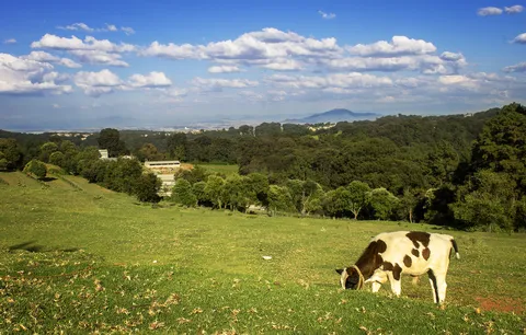 Rest. El Mirador Gotcha image 3