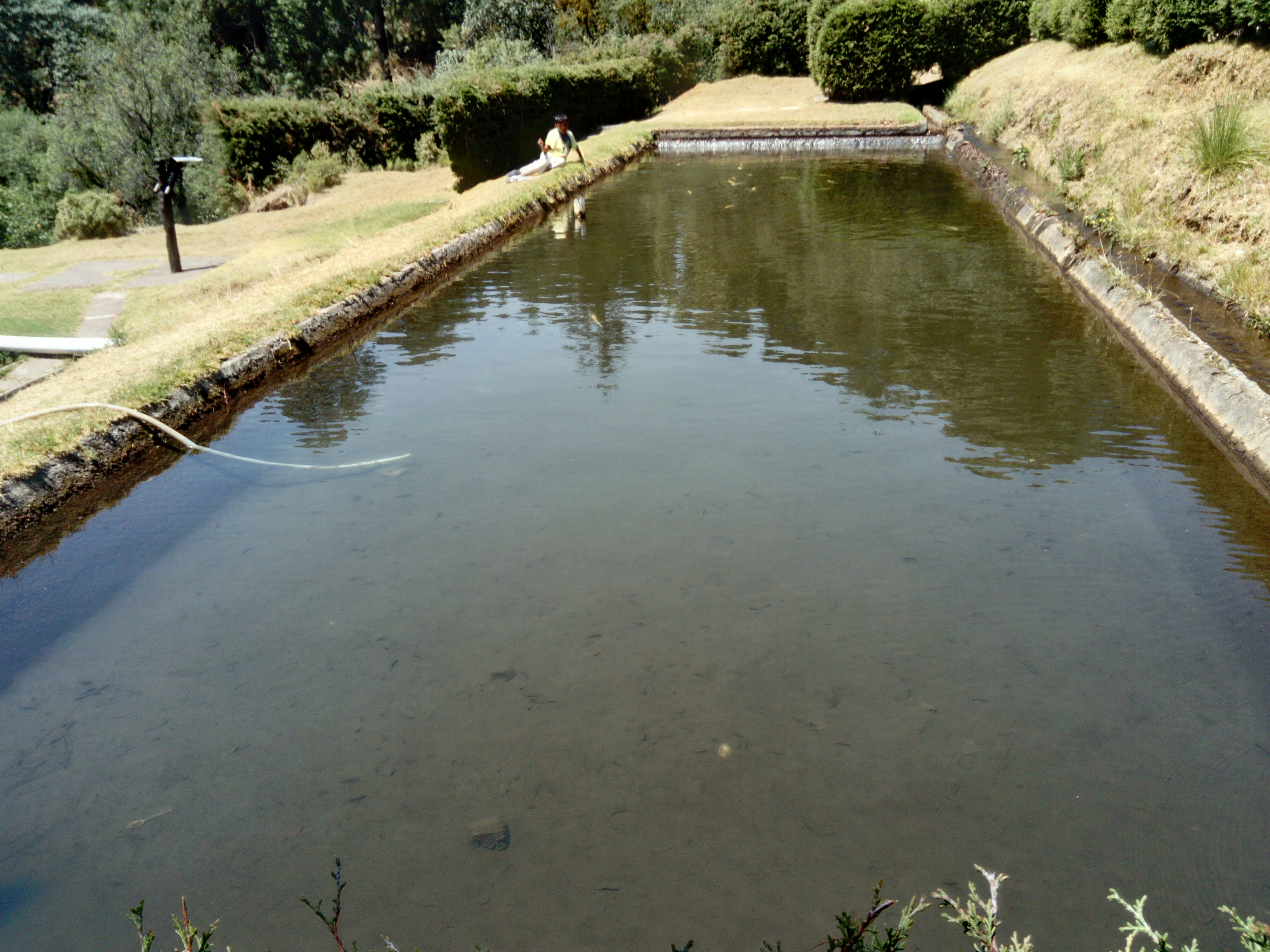 Rest. El Mirador Gotcha image 5