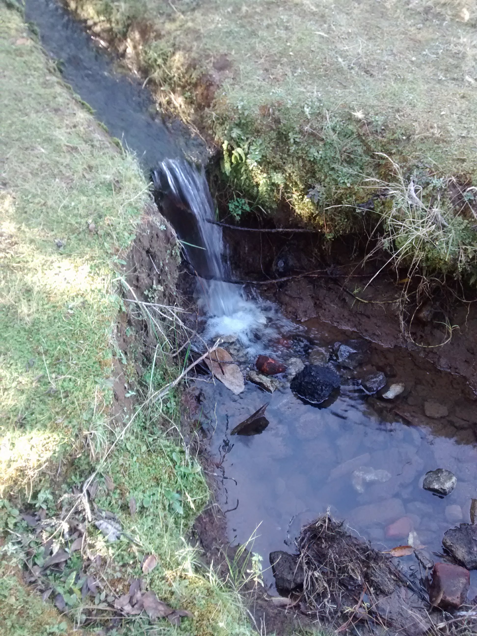 Rest. El Mirador Gotcha image 6