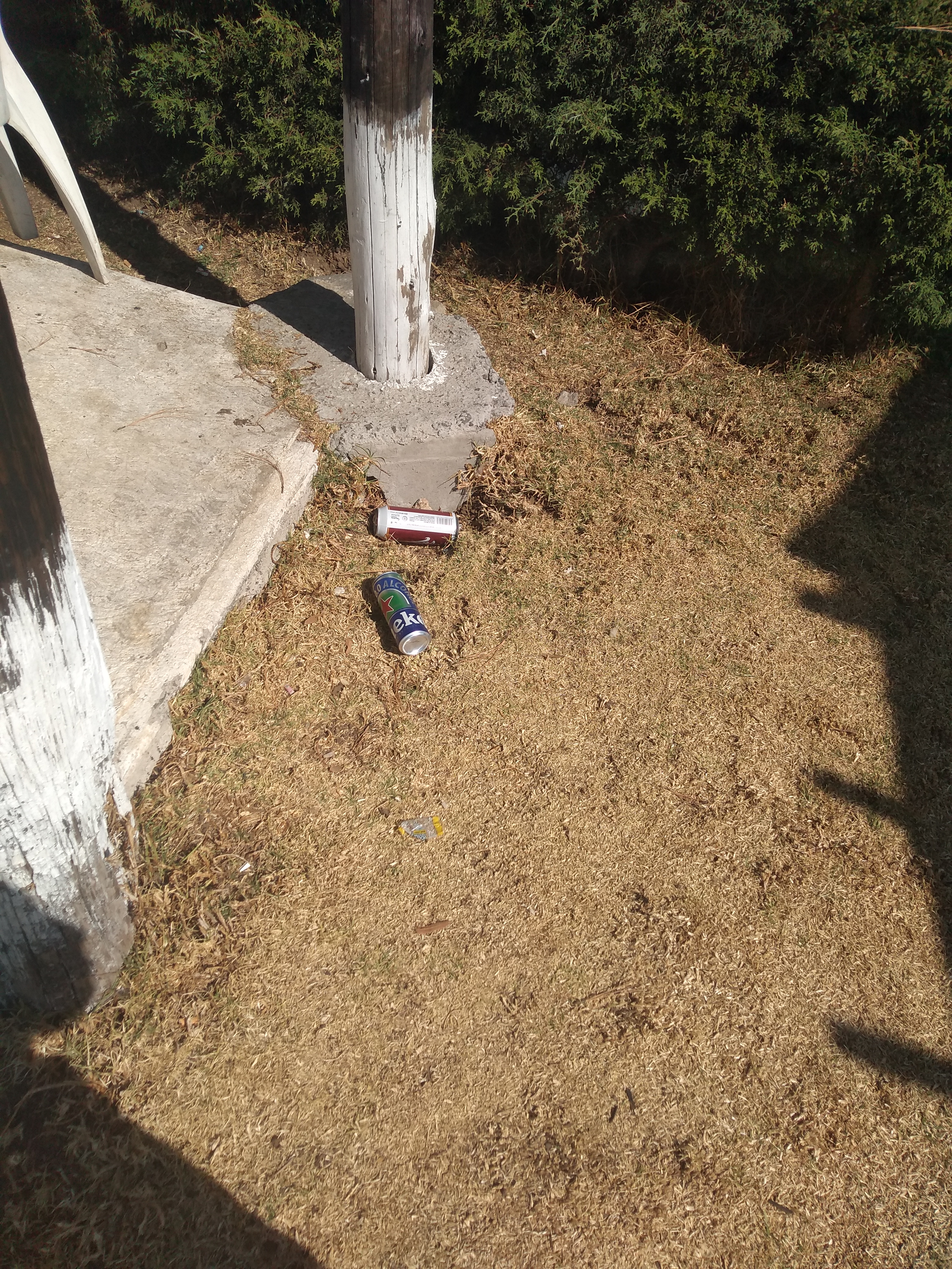 Rest. El Mirador Gotcha image 7