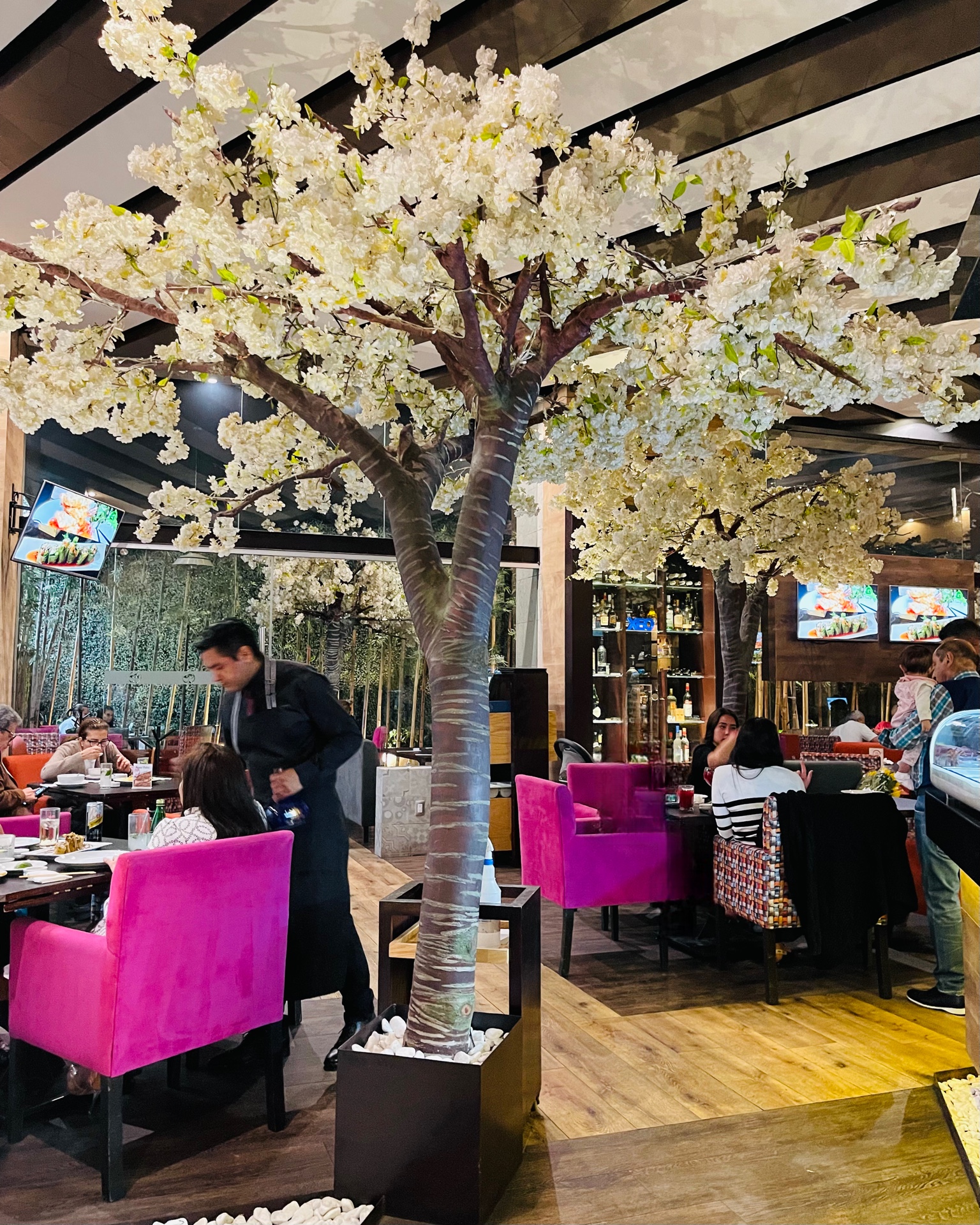 Hikari Esmeralda image 4