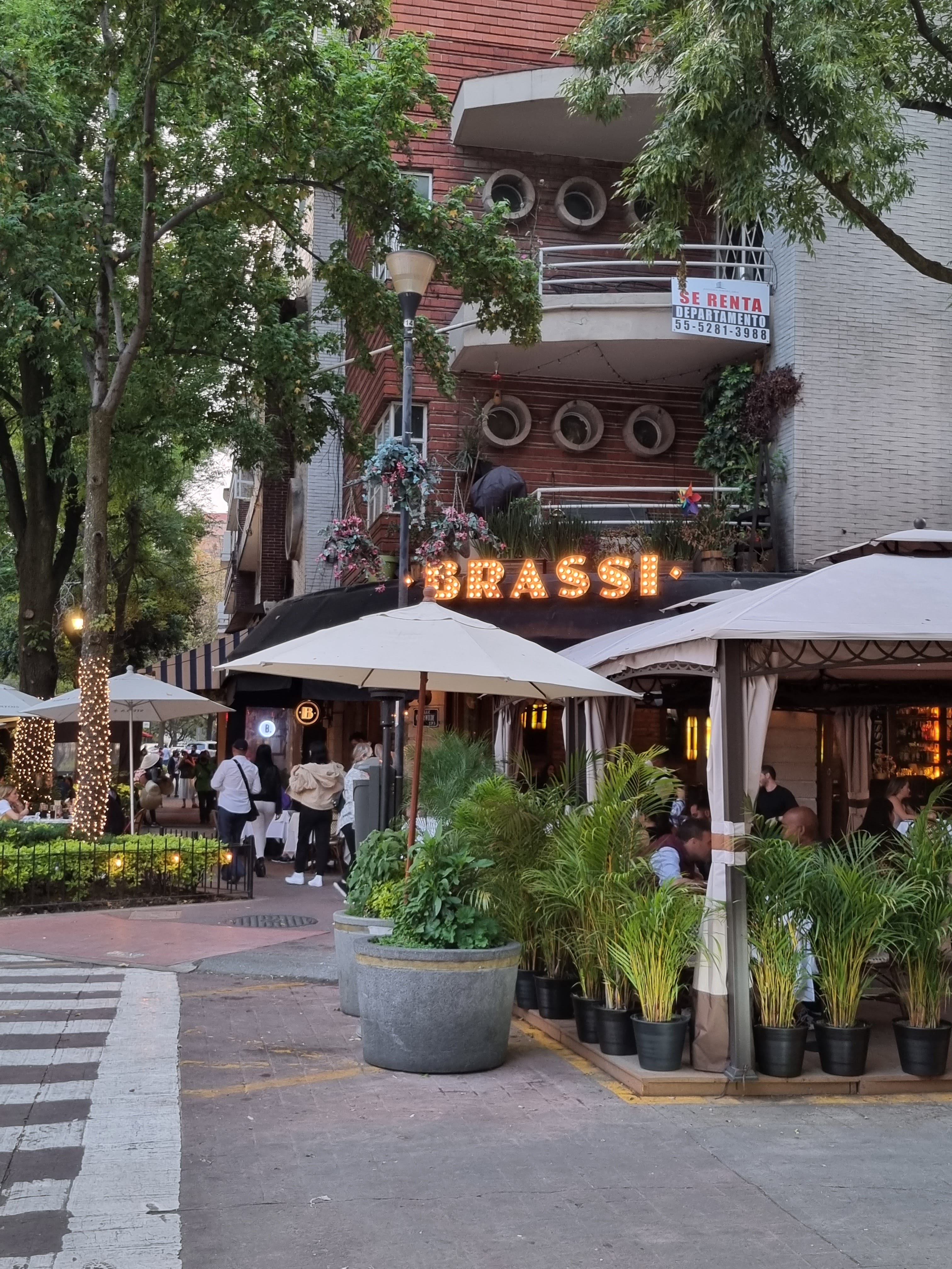 Brassi restaurant image 3