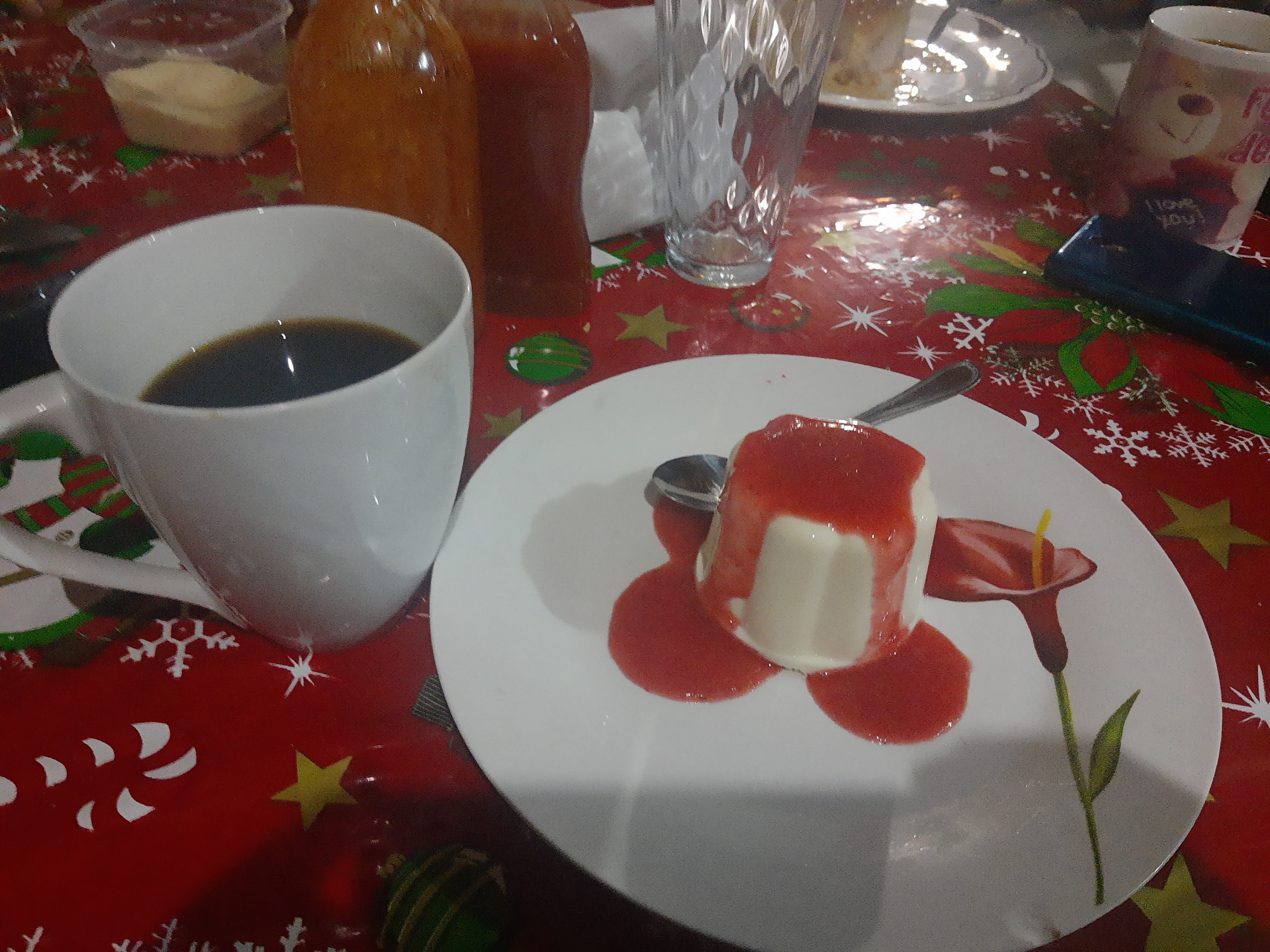 San GilMon H image 2