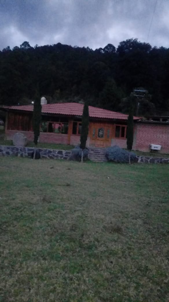 San GilMon H image 4