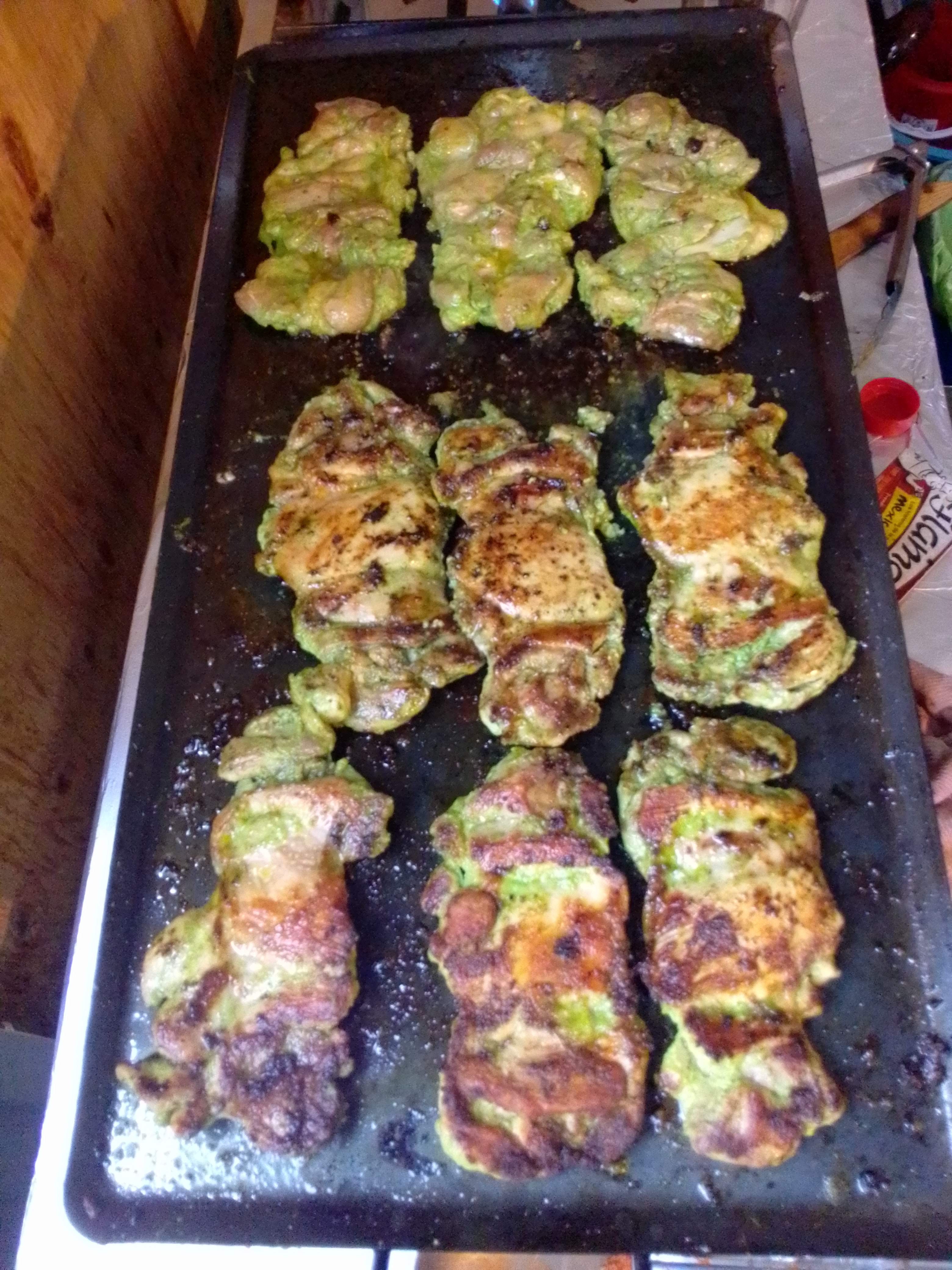 San GilMon H image 8