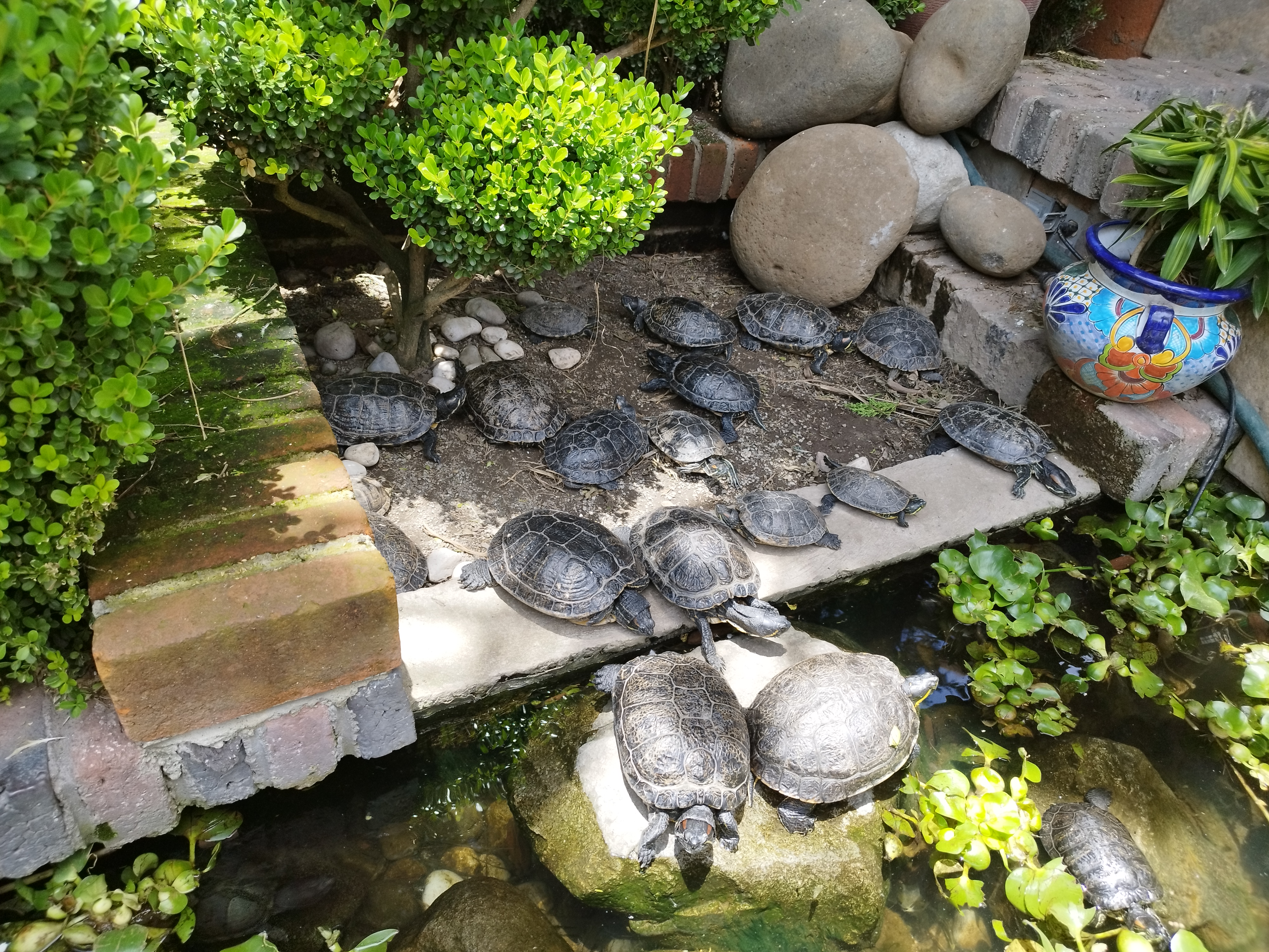 El Aviario Restaurante image 5