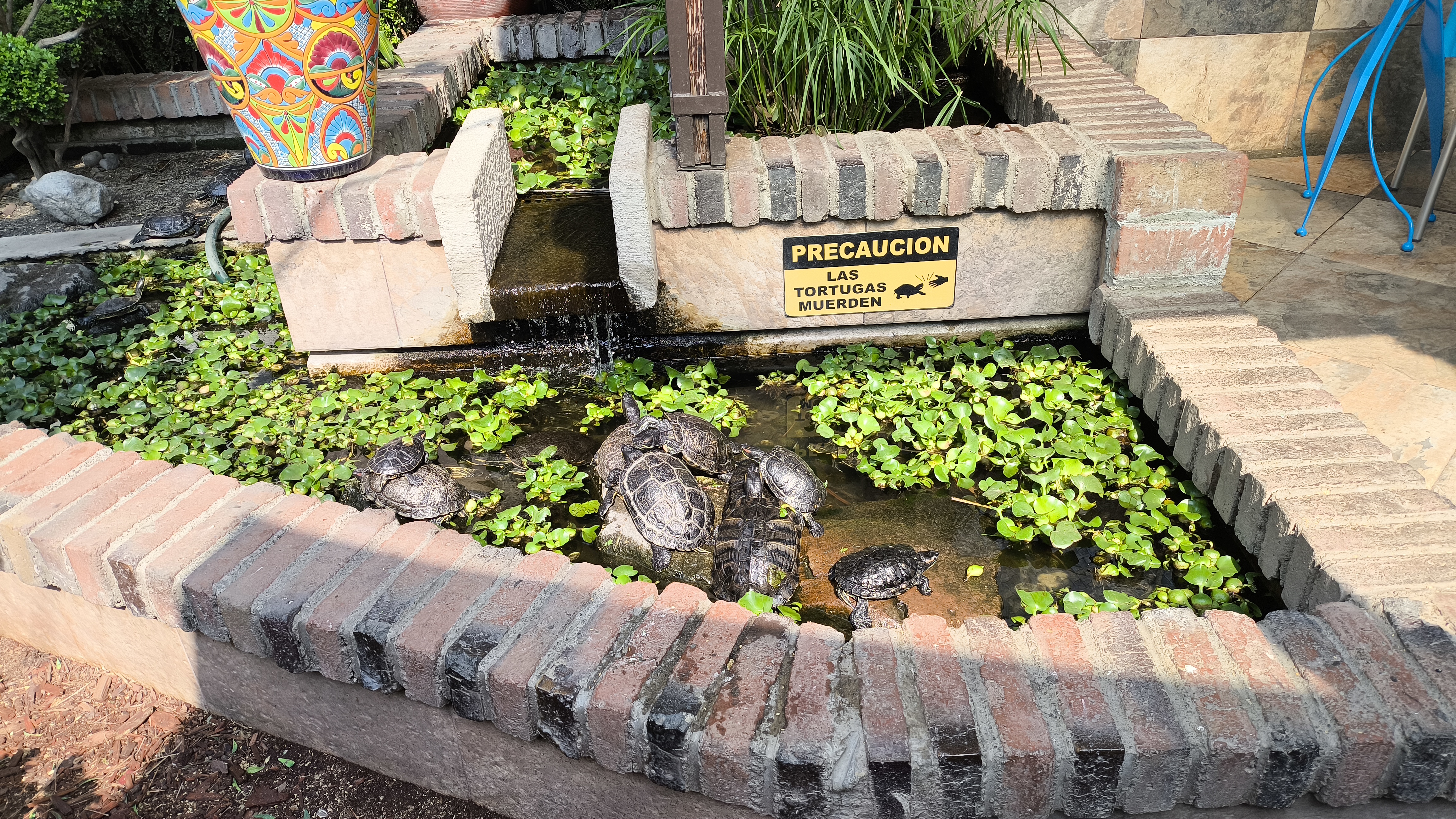 El Aviario Restaurante image 6