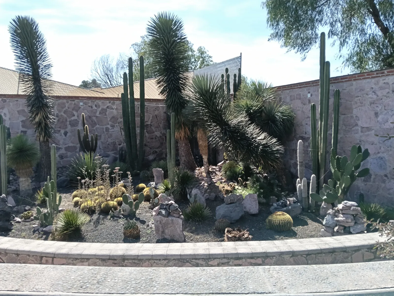Finca Texcoco image 10