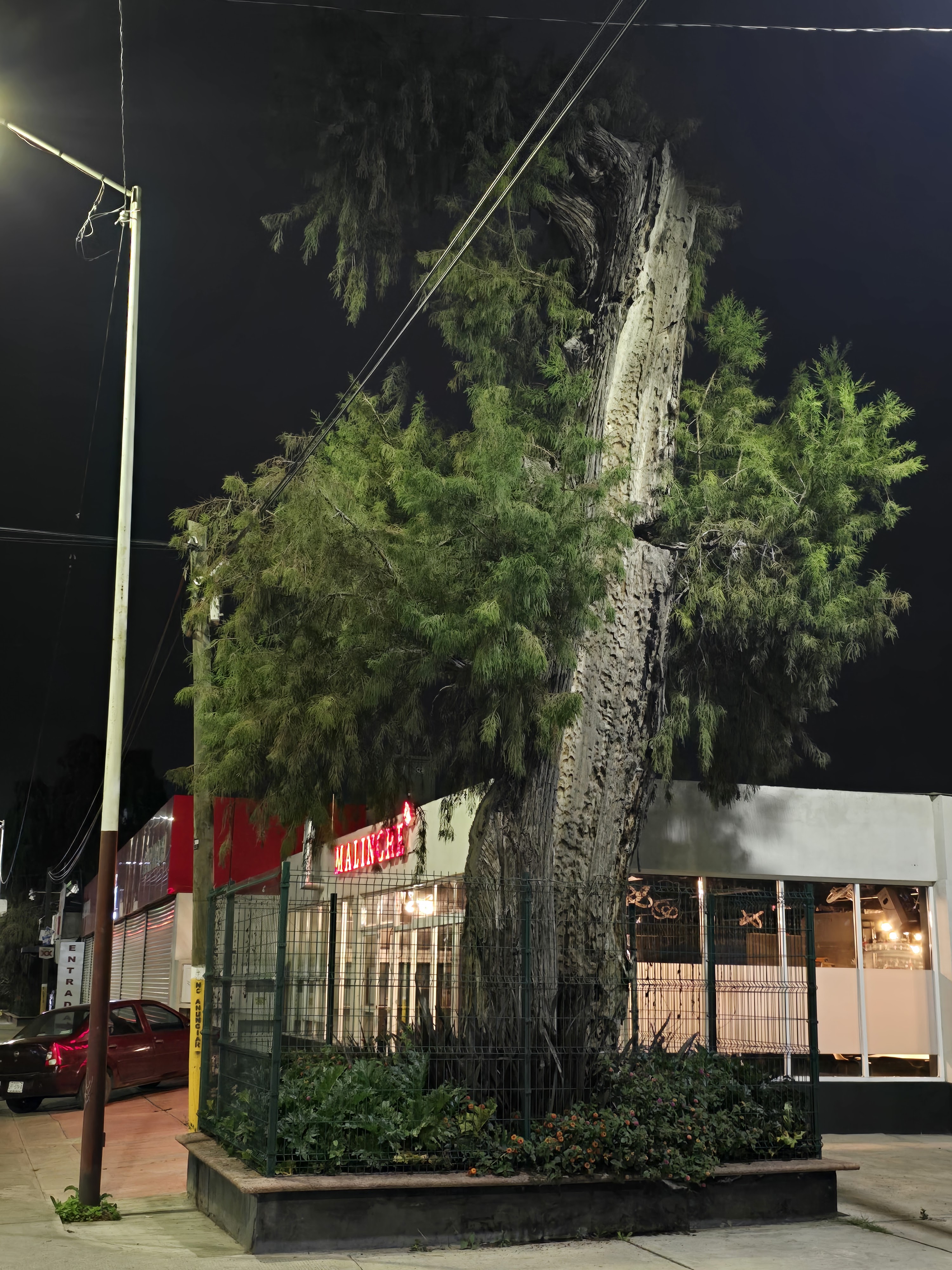 Restaurante La Malinche de Texcoco image 9