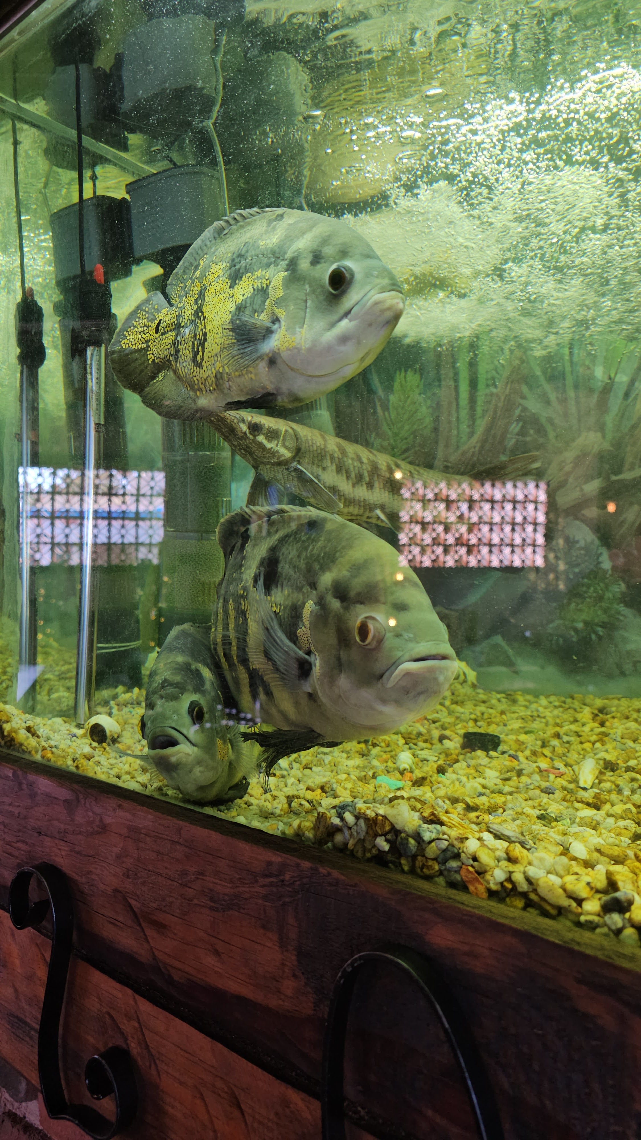 Lotus Resturante image 10